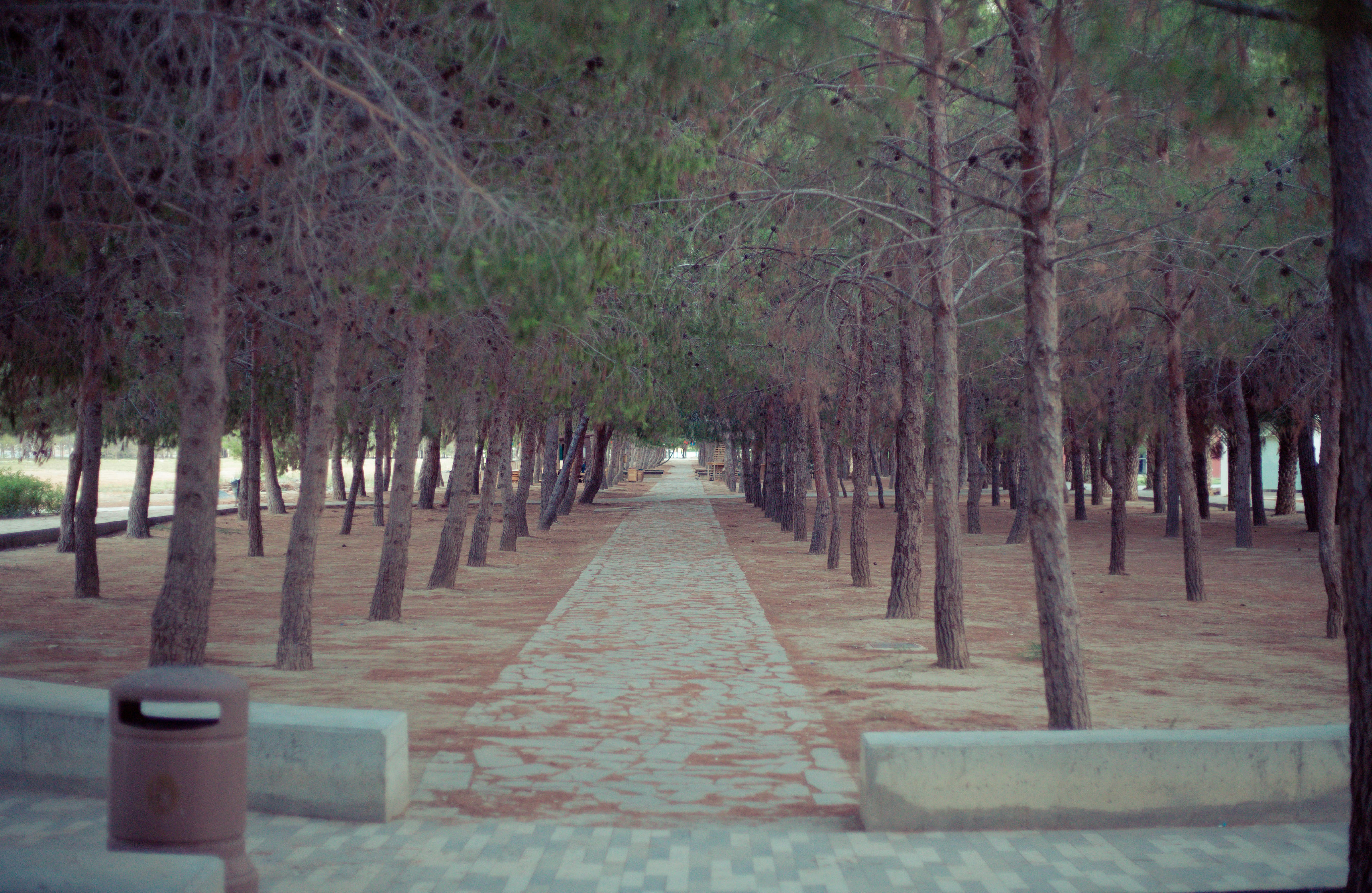 martı park