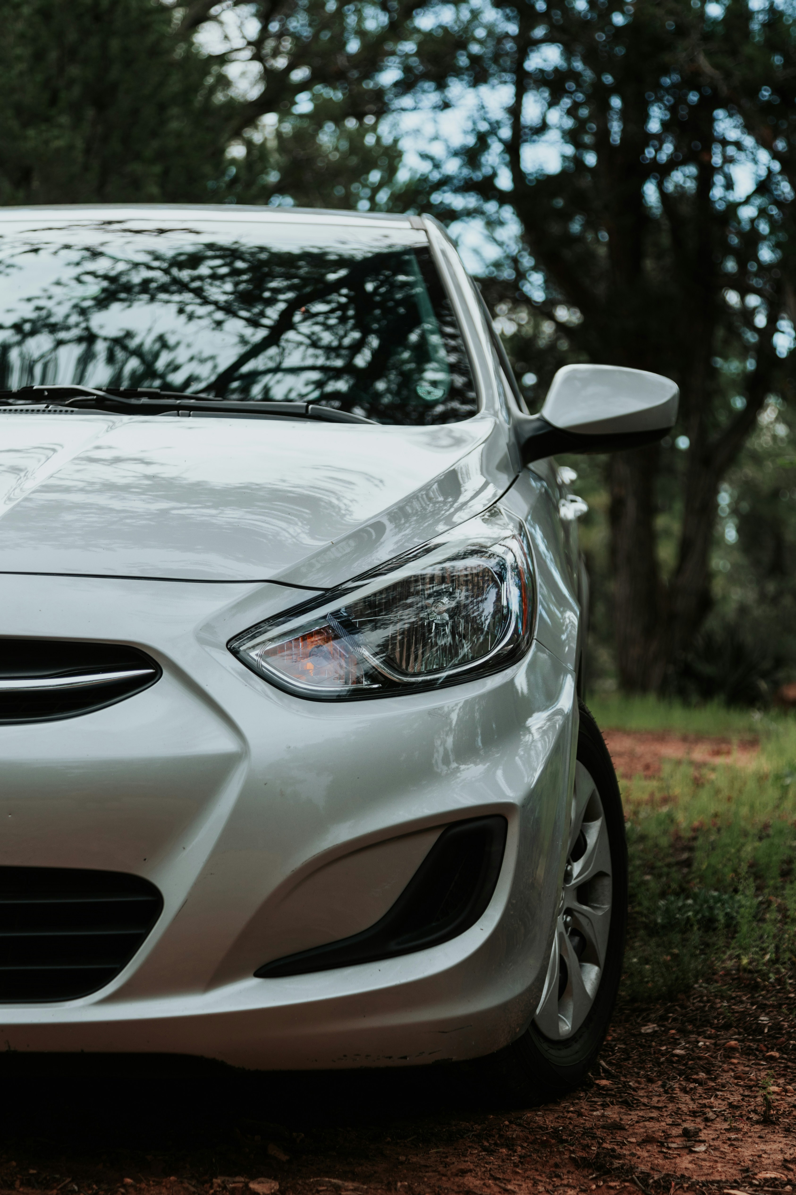 Photo by jeffersonsees