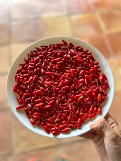 Hands serving a plate of chiles en nogada, showcasing the elegant presentation and homemade touch.
