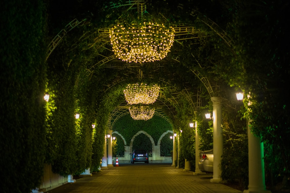 Une rue avec des arbres et des lumières