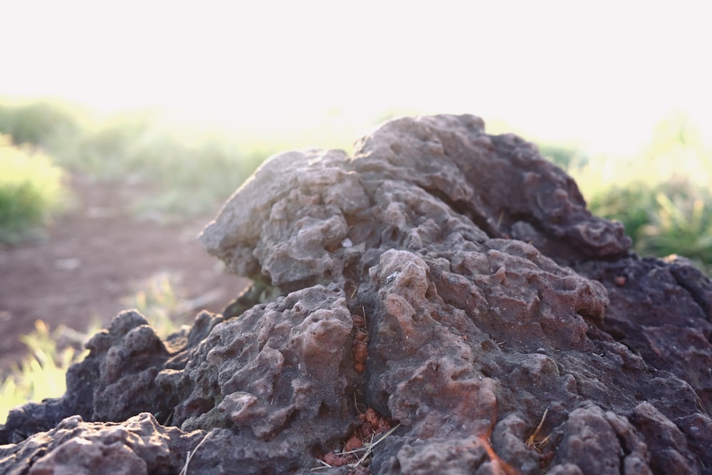 a pile of dirt