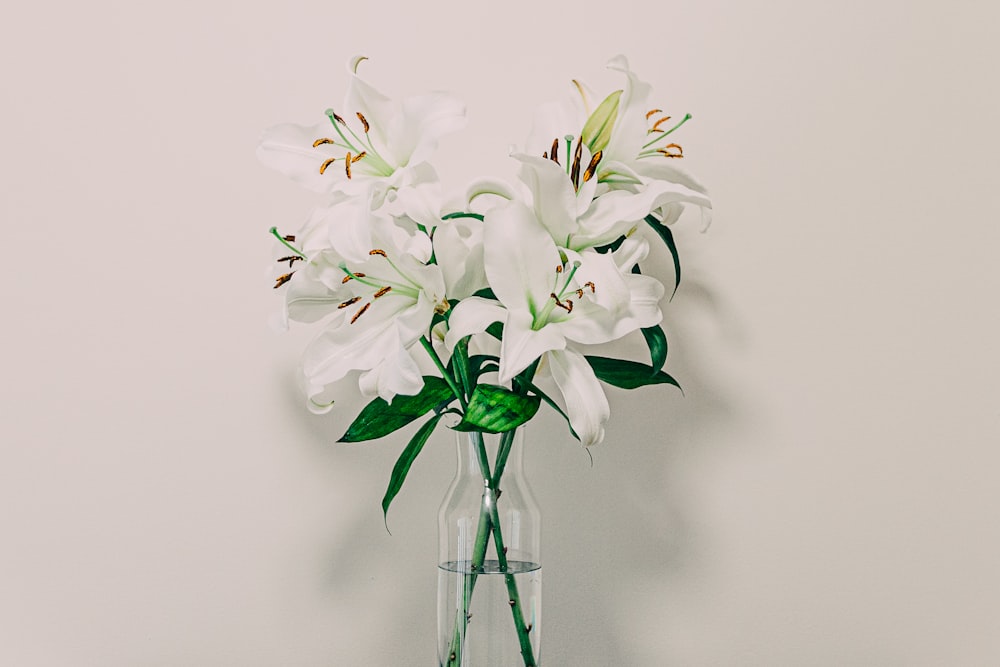 a vase with white flowers