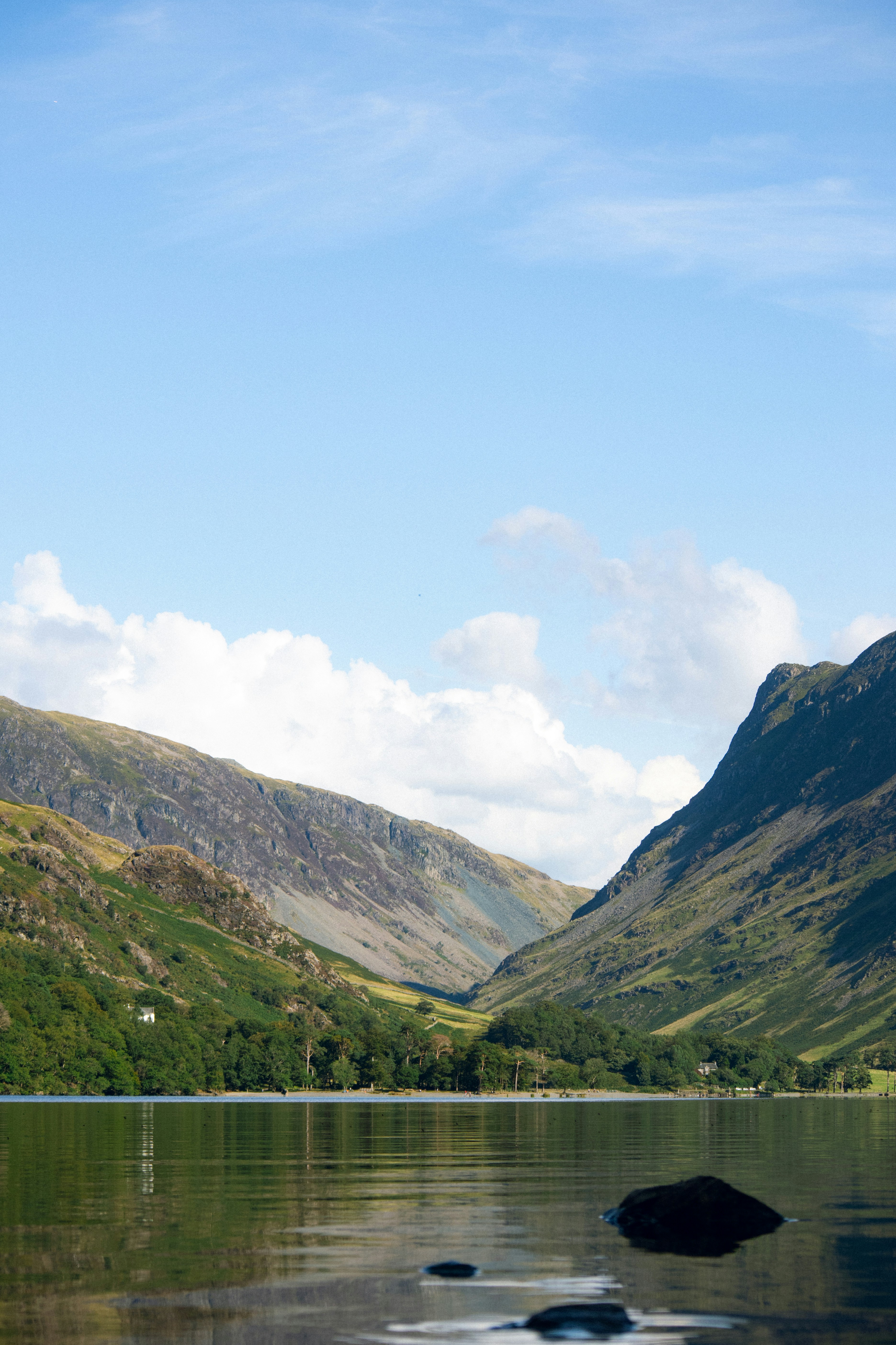 Photo by matchaforest