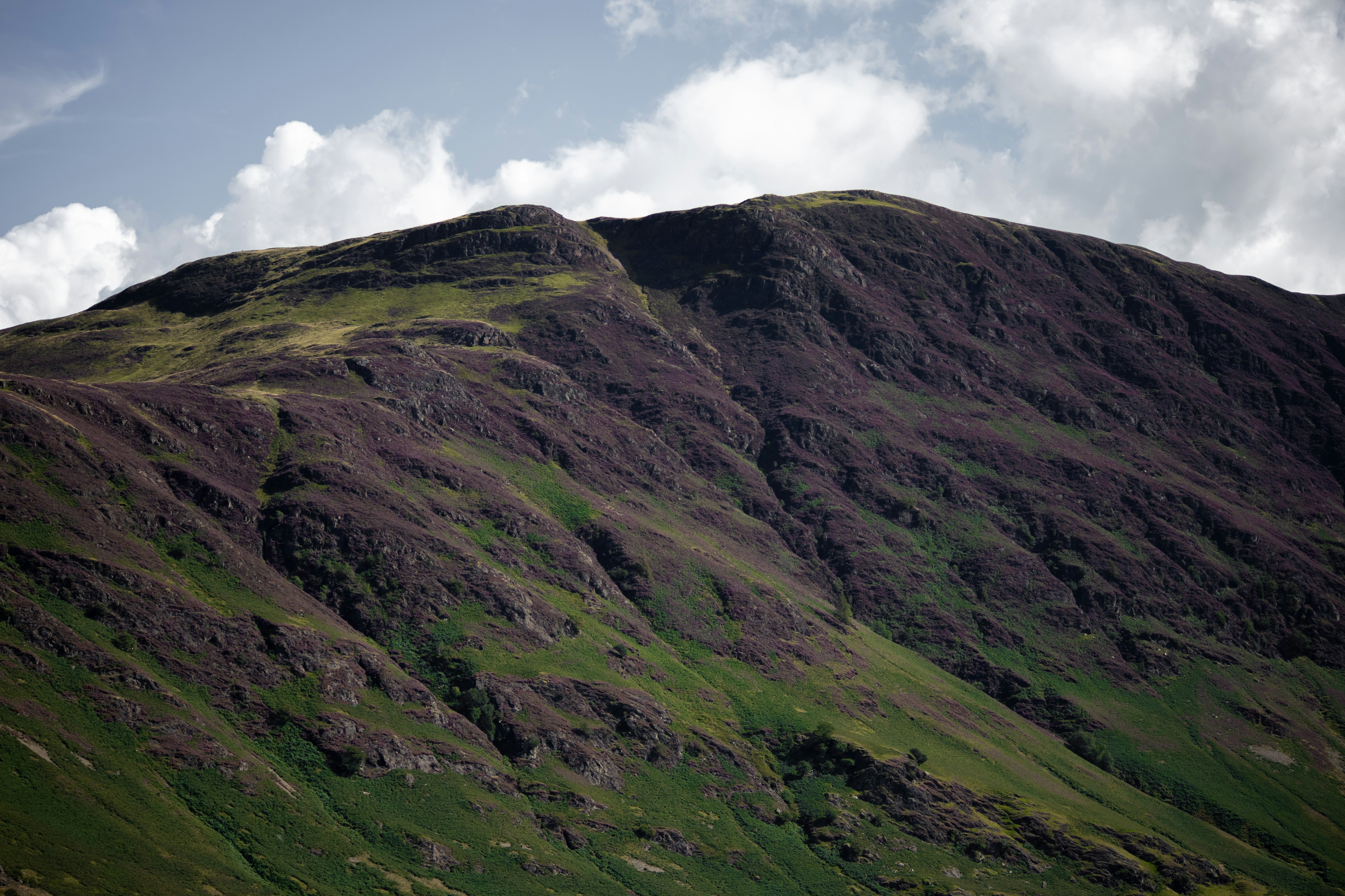 Photo by matchaforest