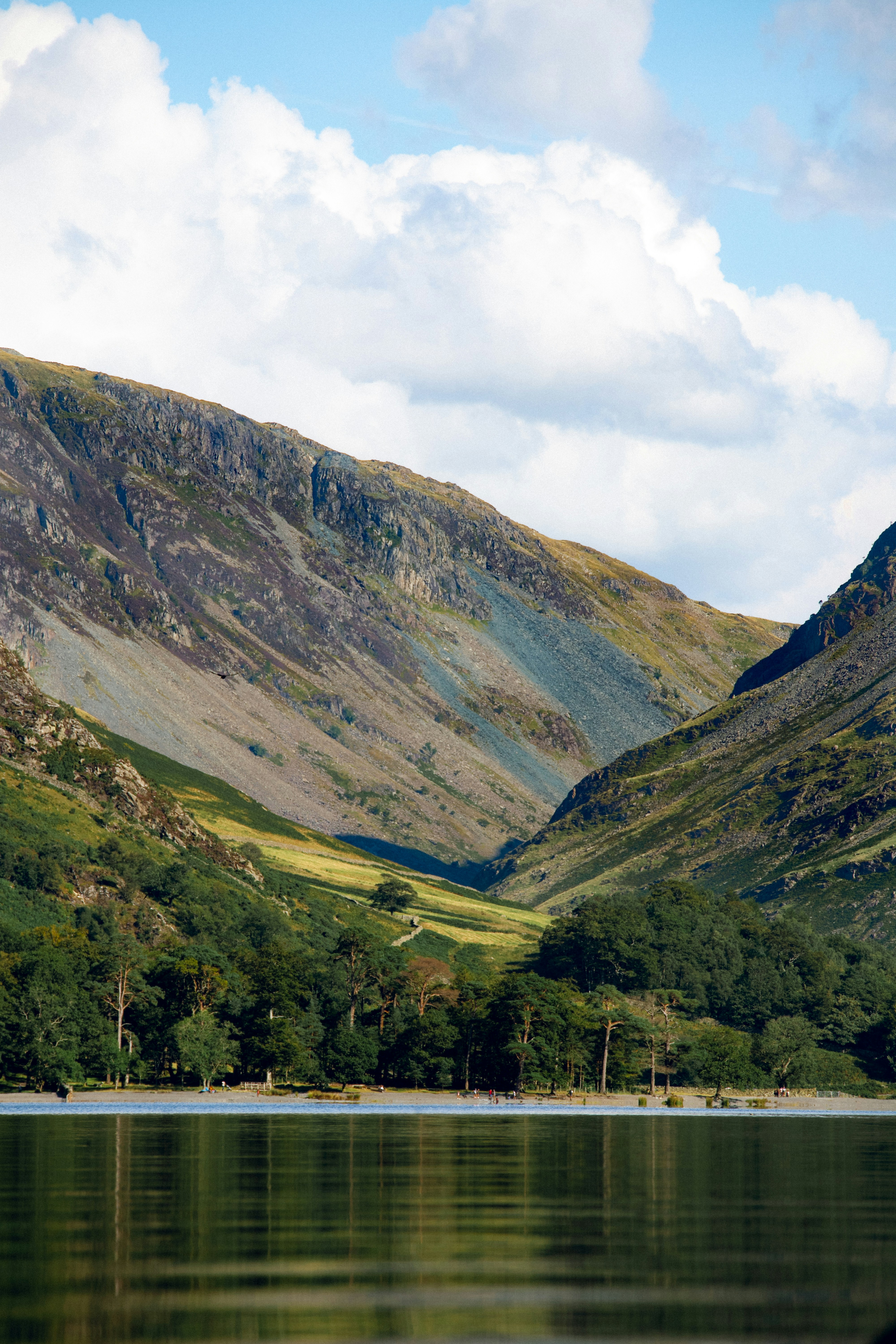 Photo by matchaforest