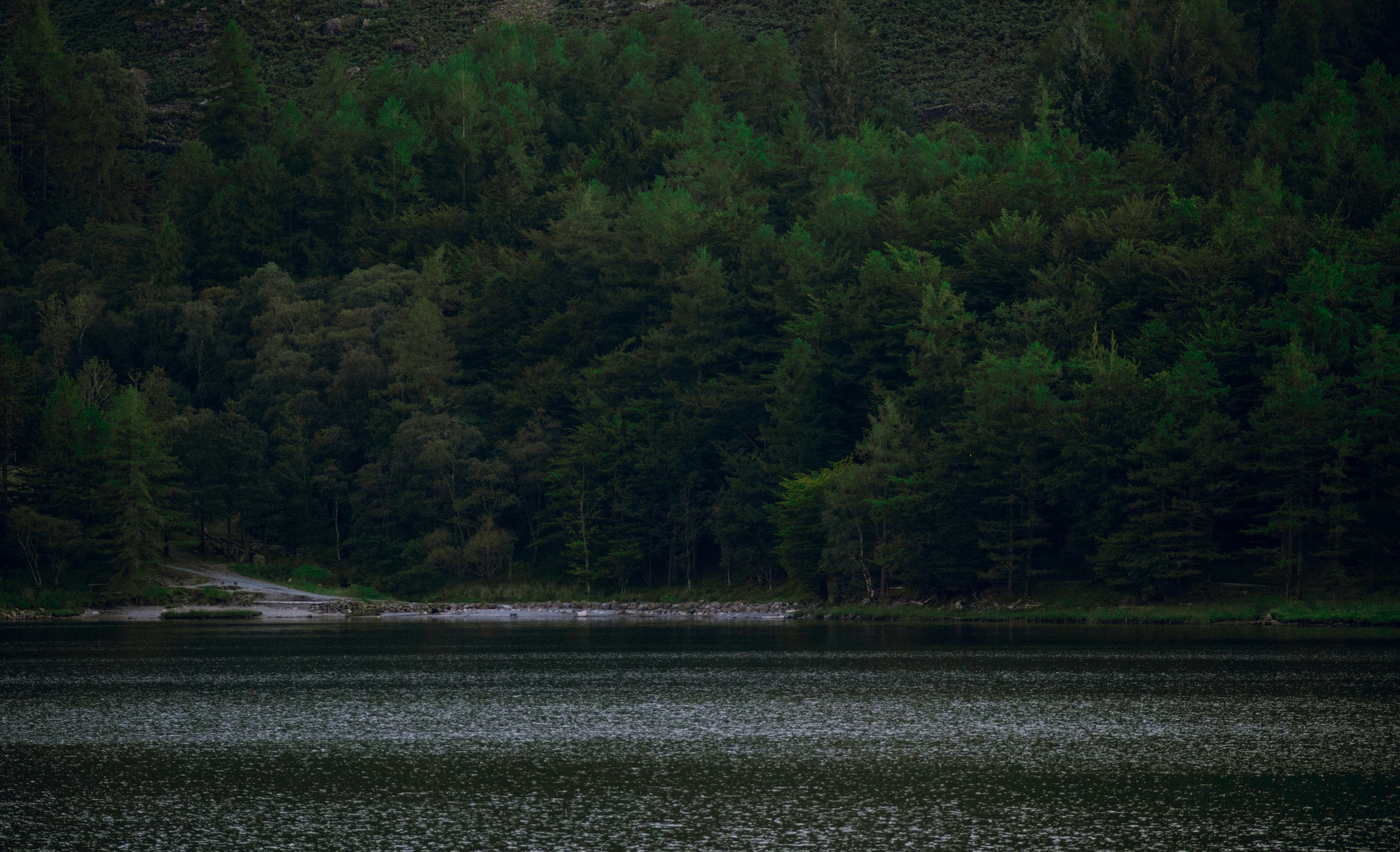 Photo by matchaforest