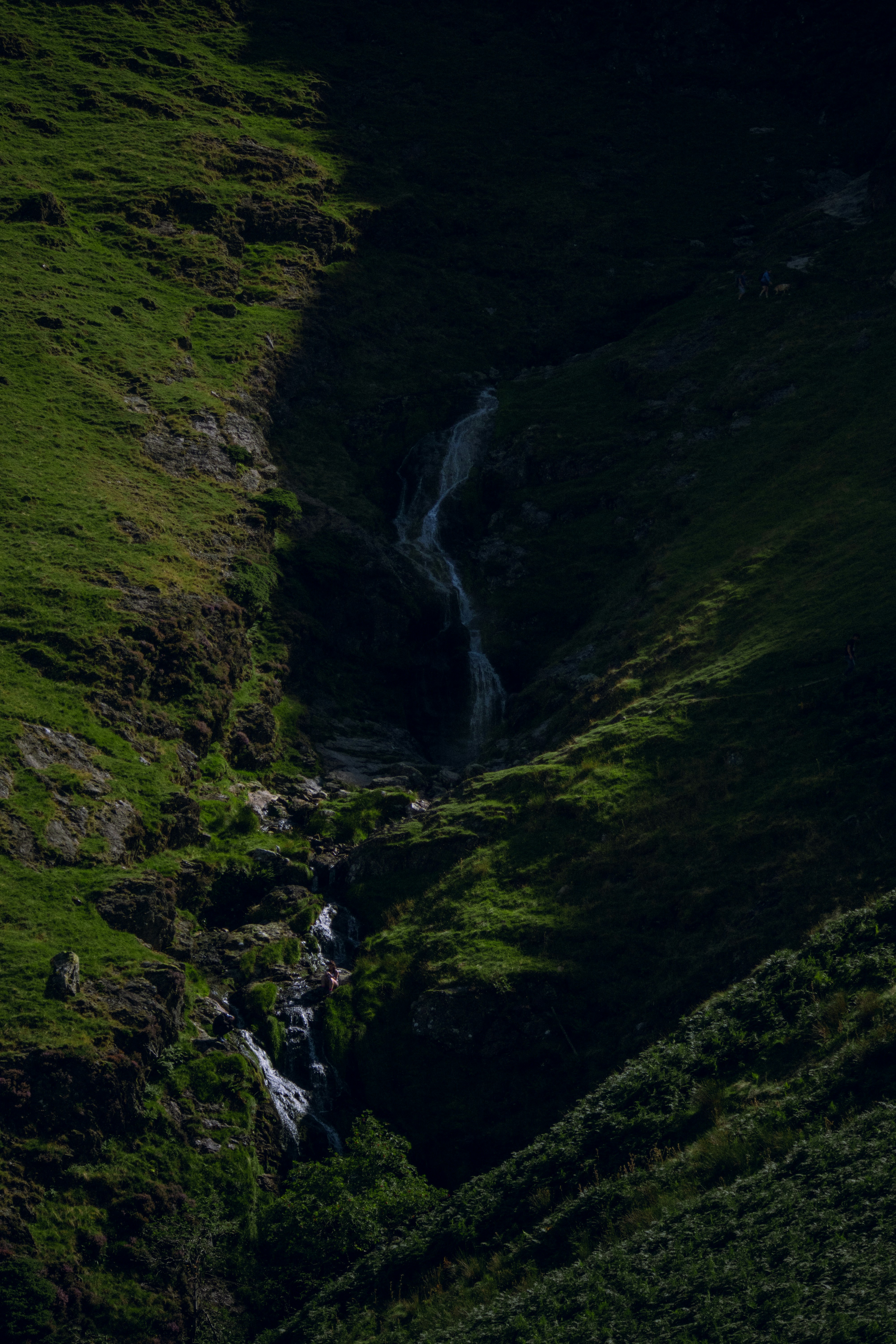 Photo by matchaforest