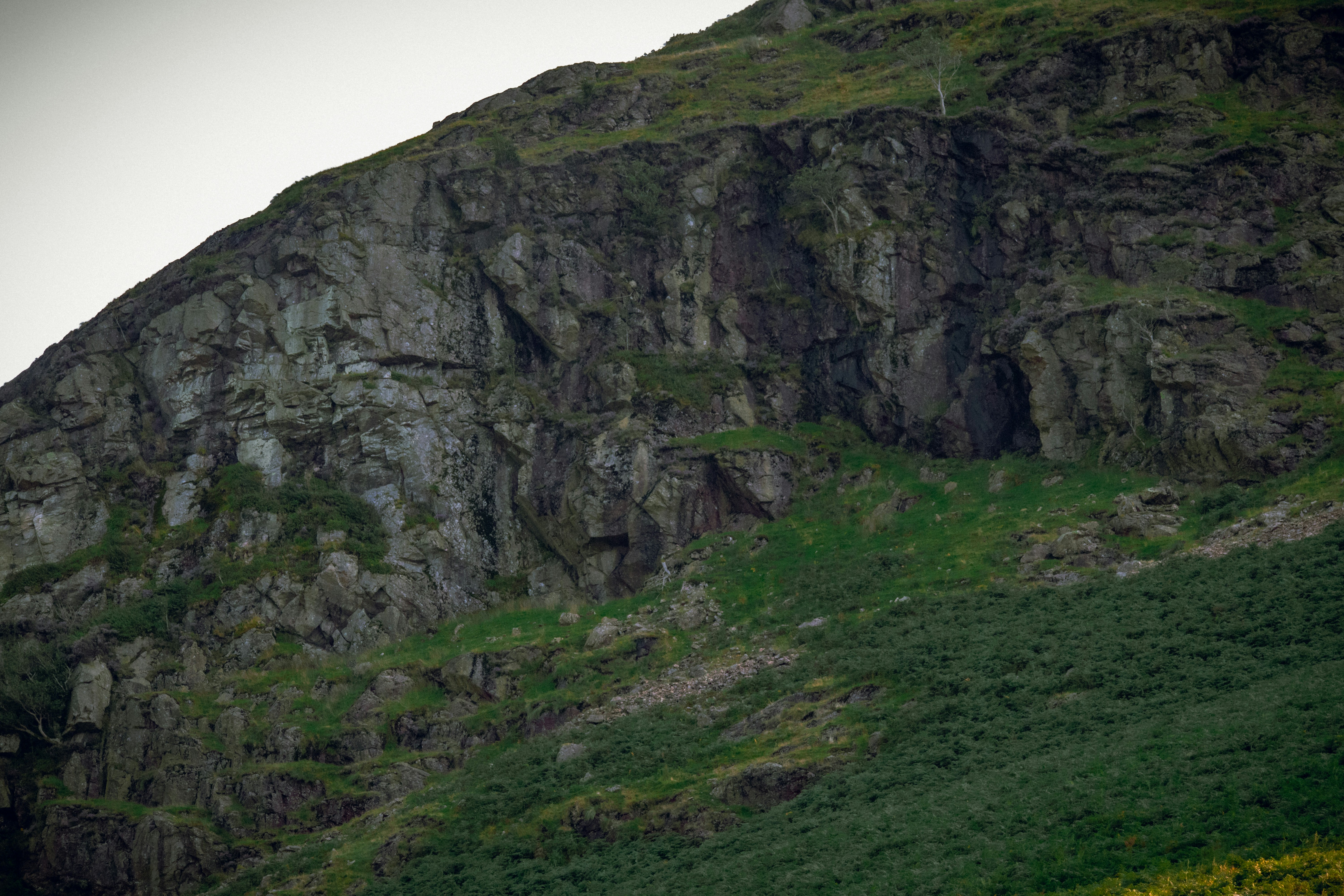 Photo by matchaforest