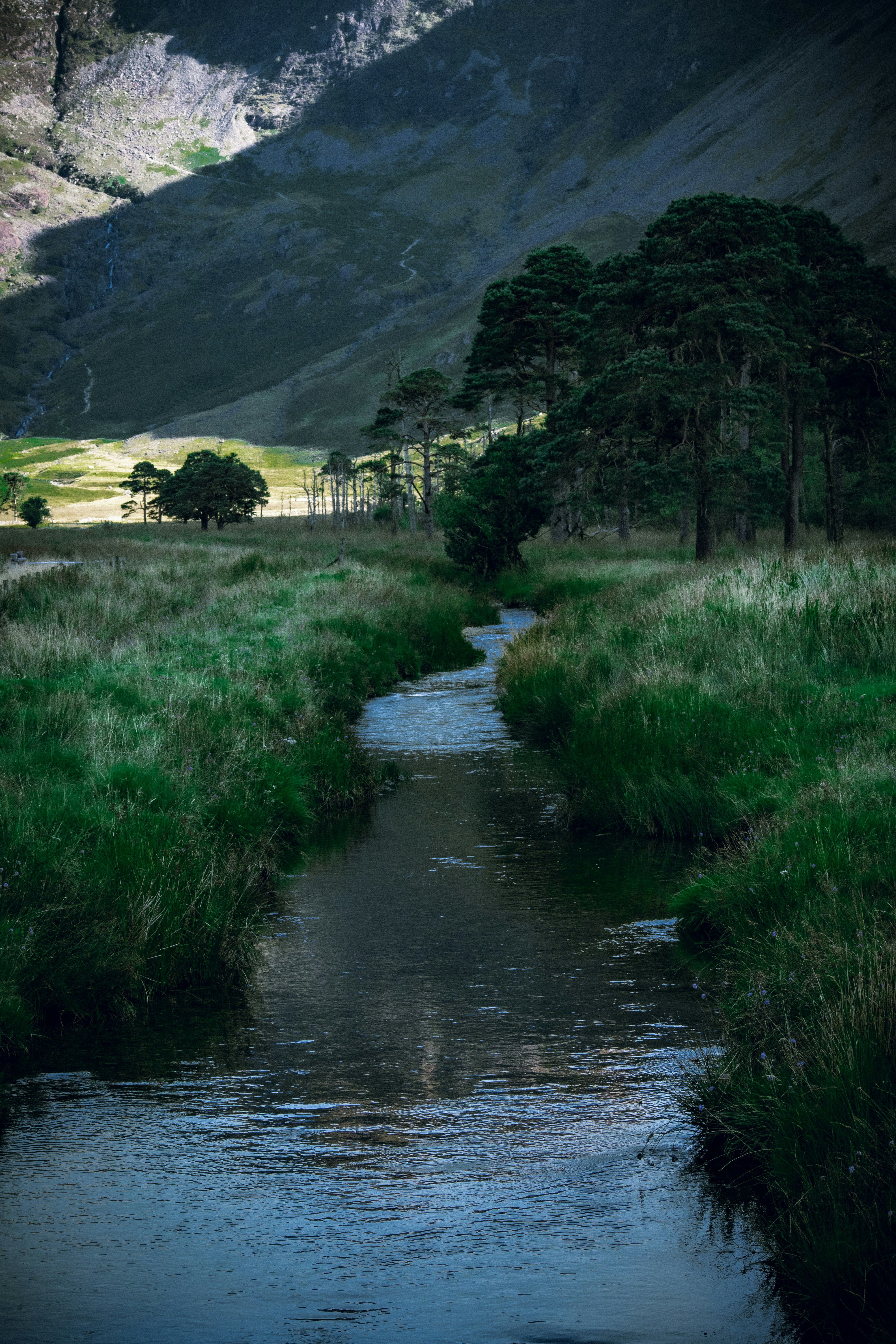 a river running through a grassy area