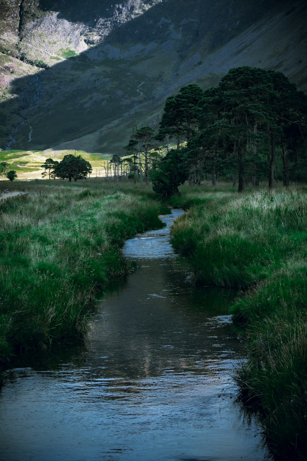 a river running through a grassy area