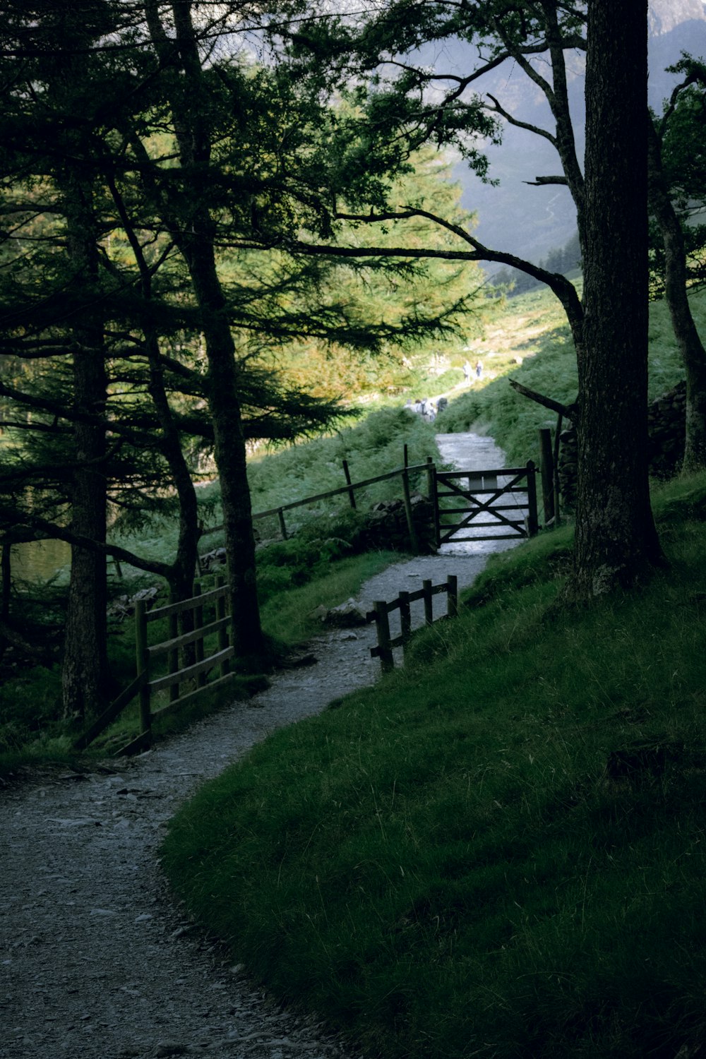 a path with a fence and trees on the side