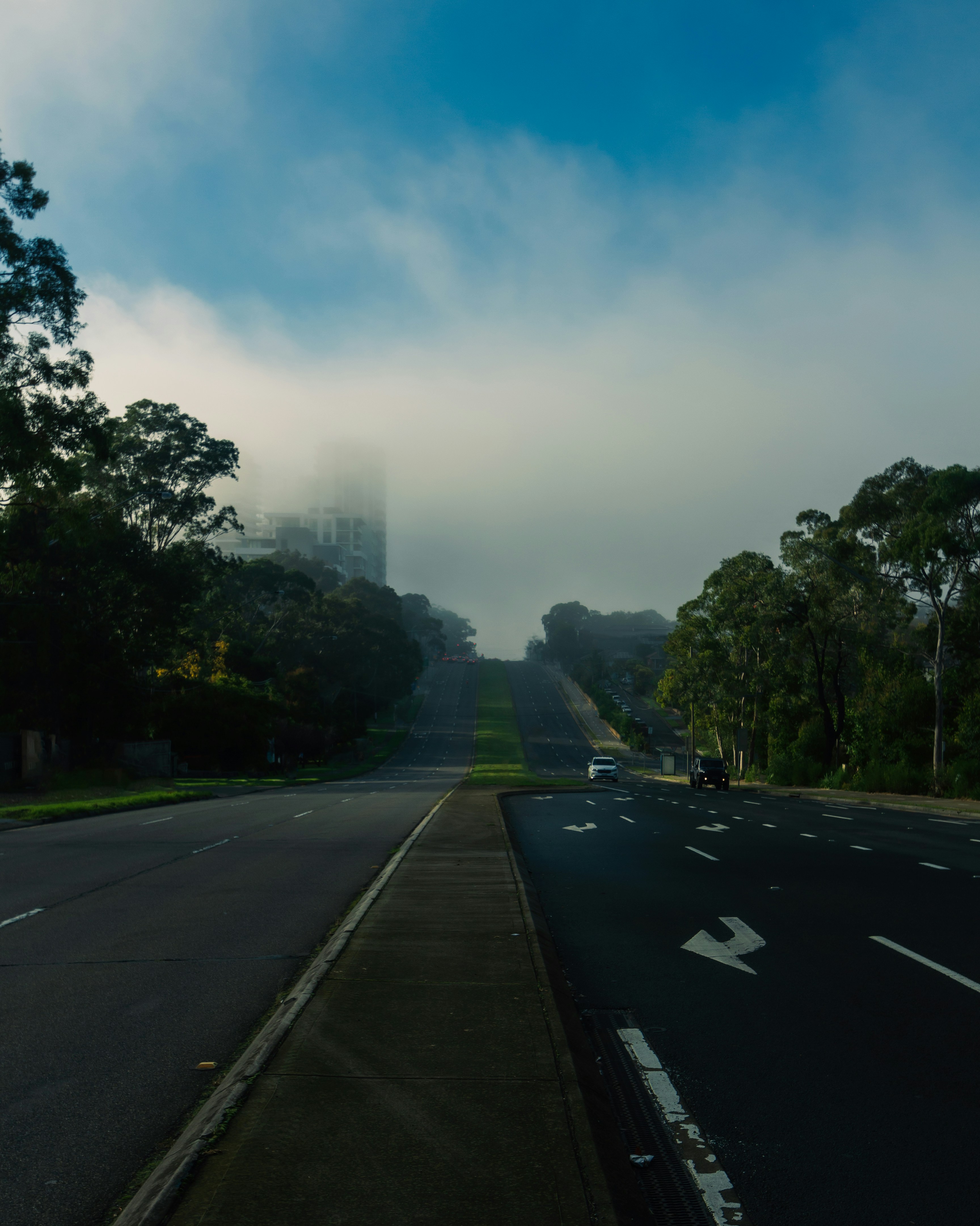 a road with trees and grass on the side