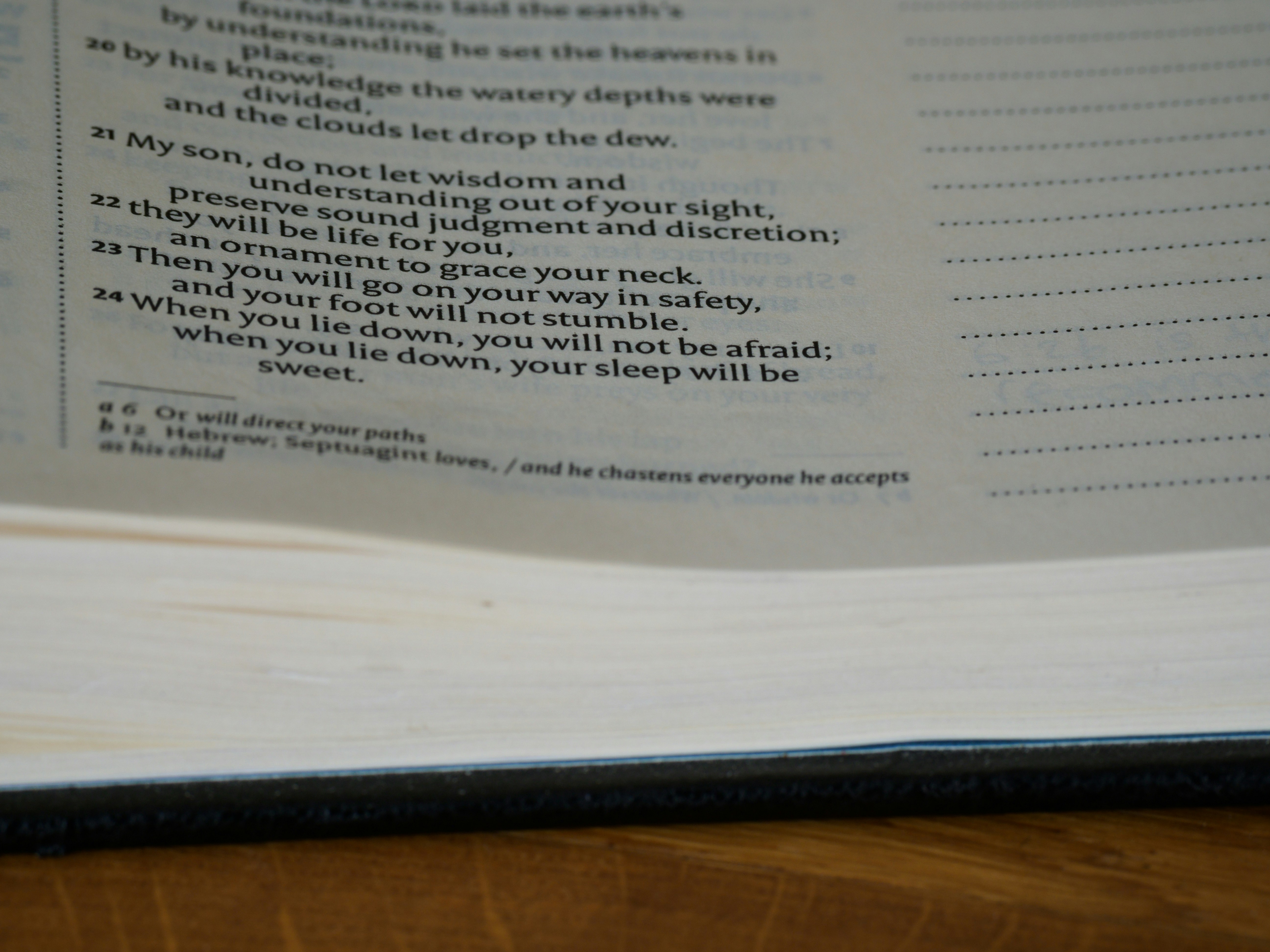 Photo by brett_jordan