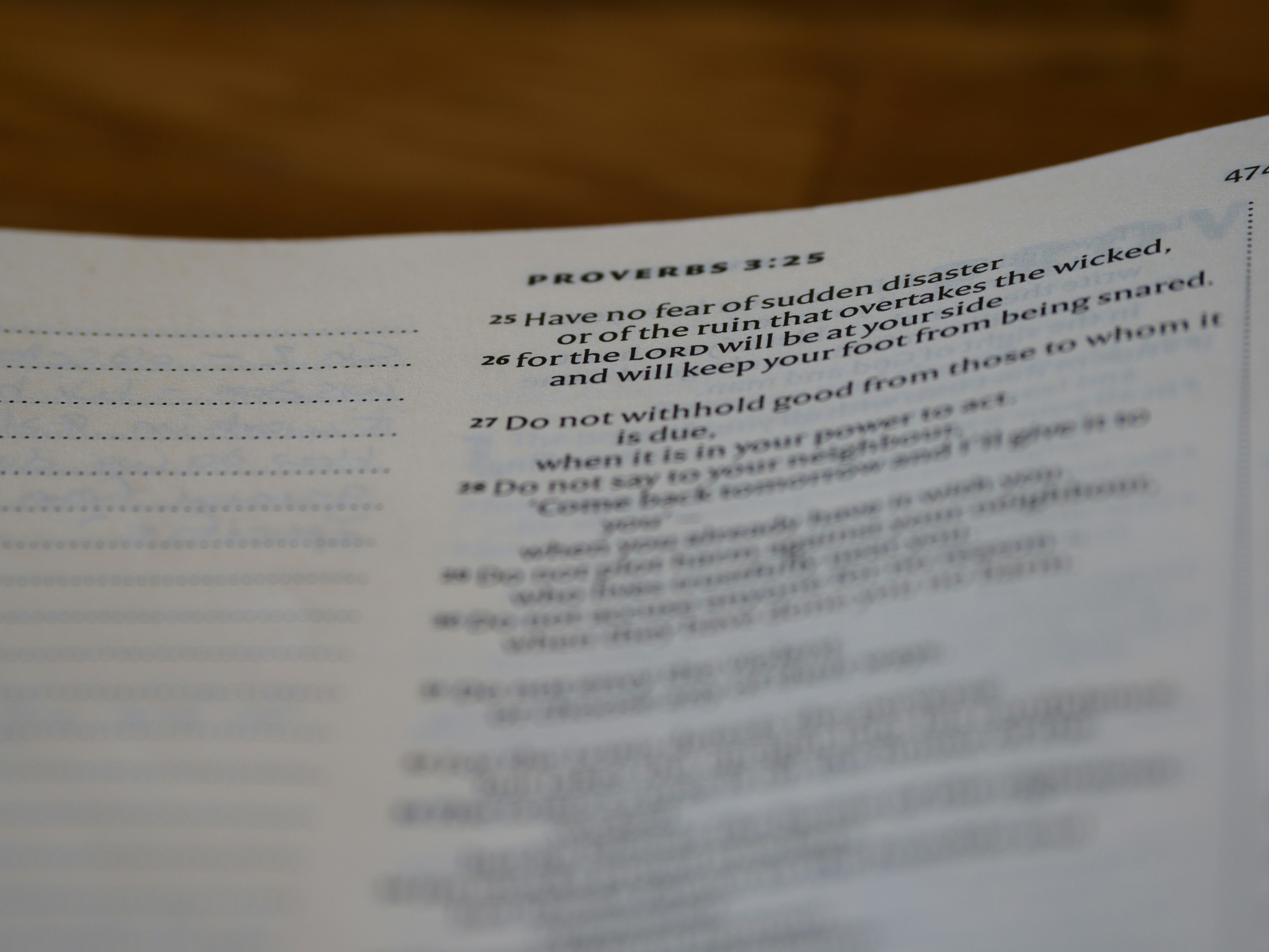 Photo by brett_jordan