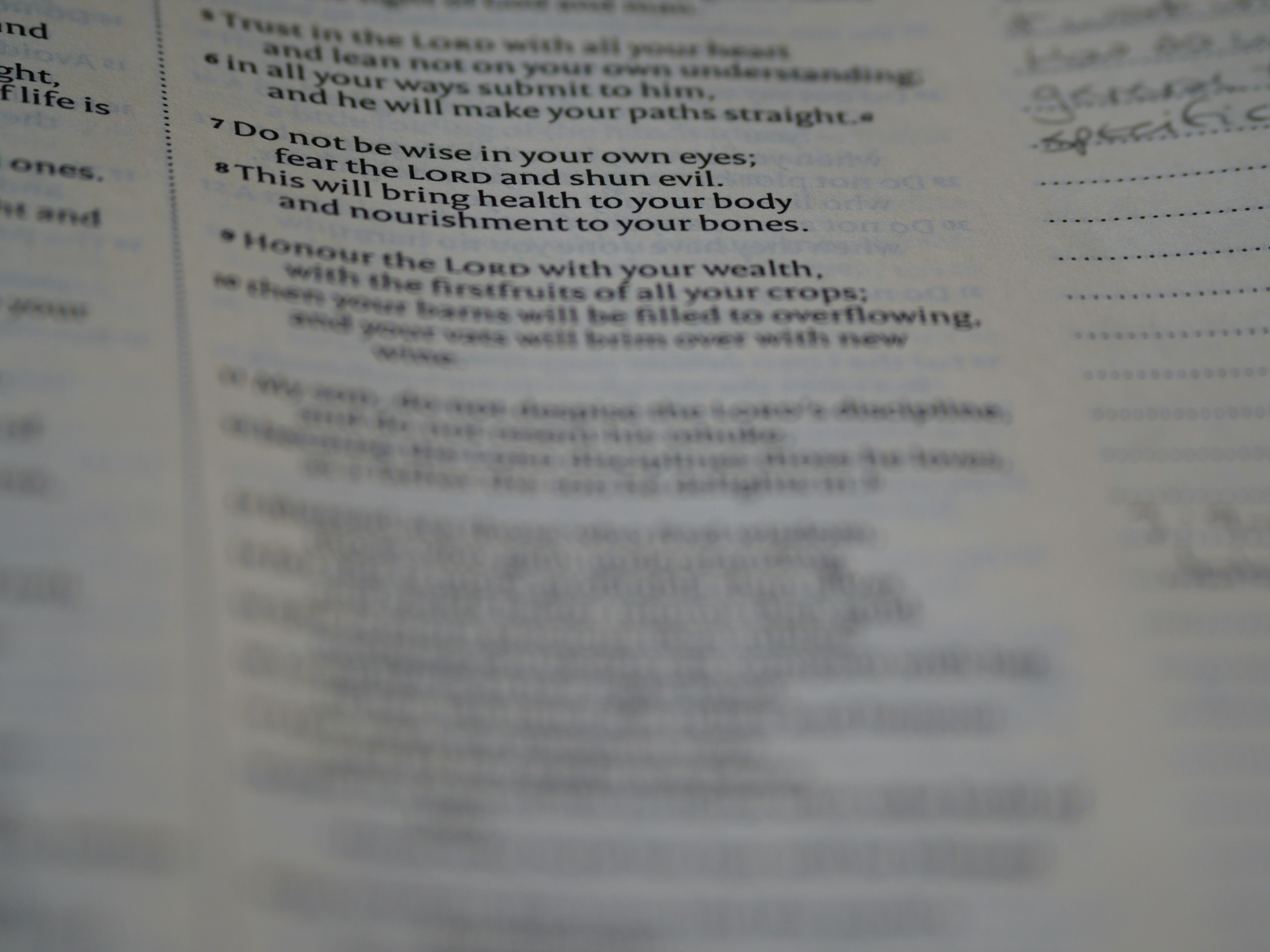 Photo by brett_jordan