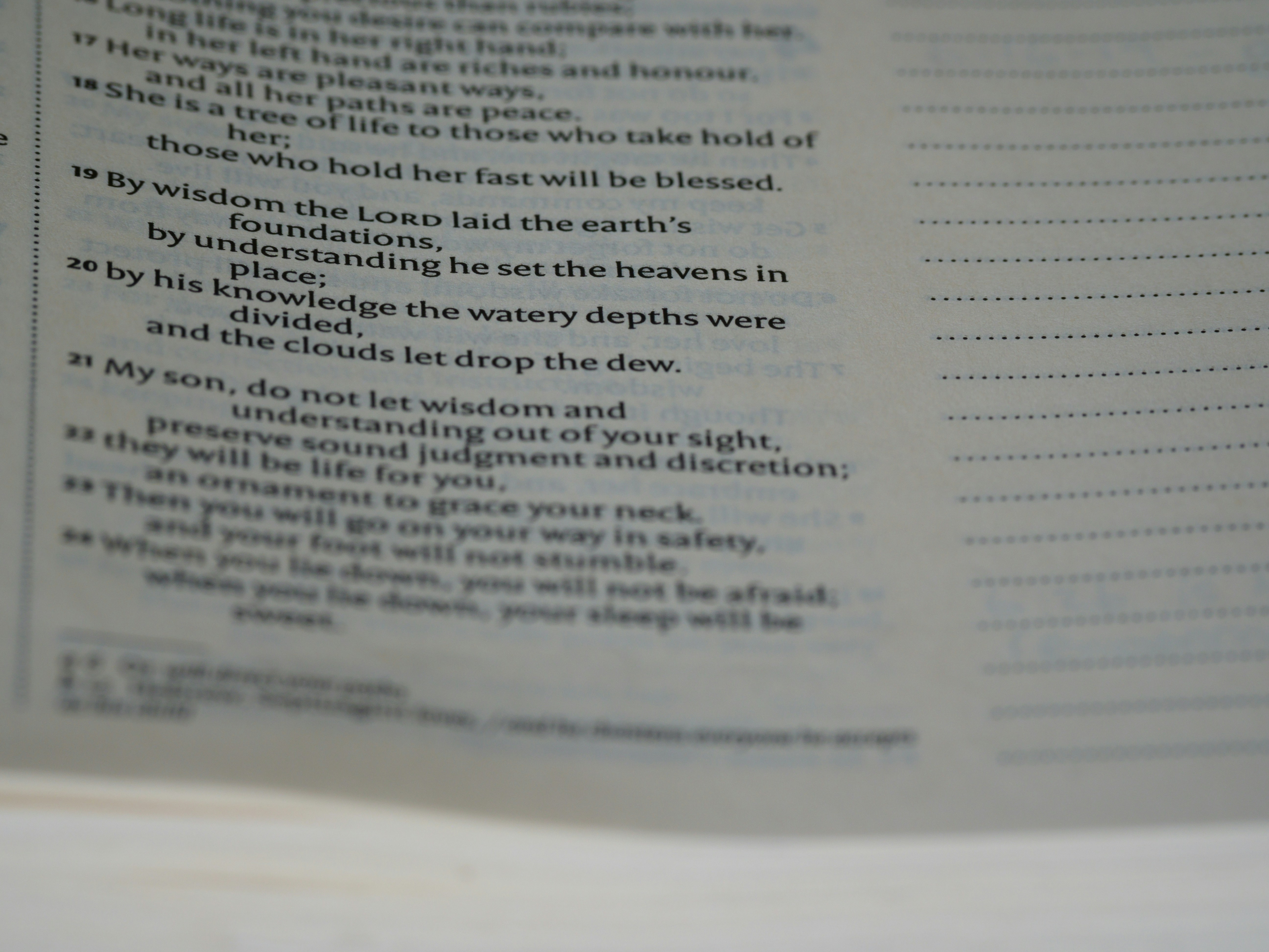 Photo by brett_jordan