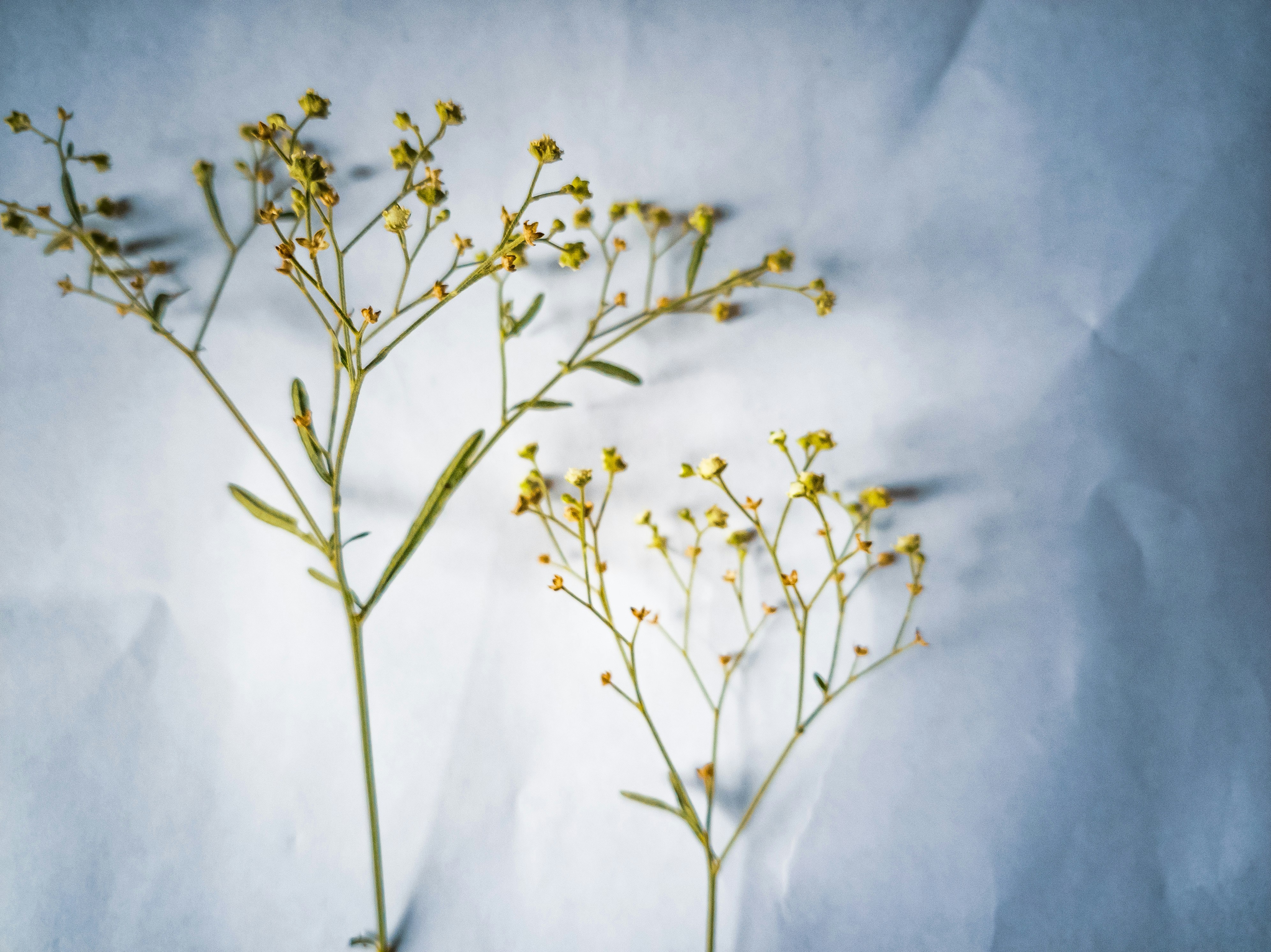 Photo by imakshay2417