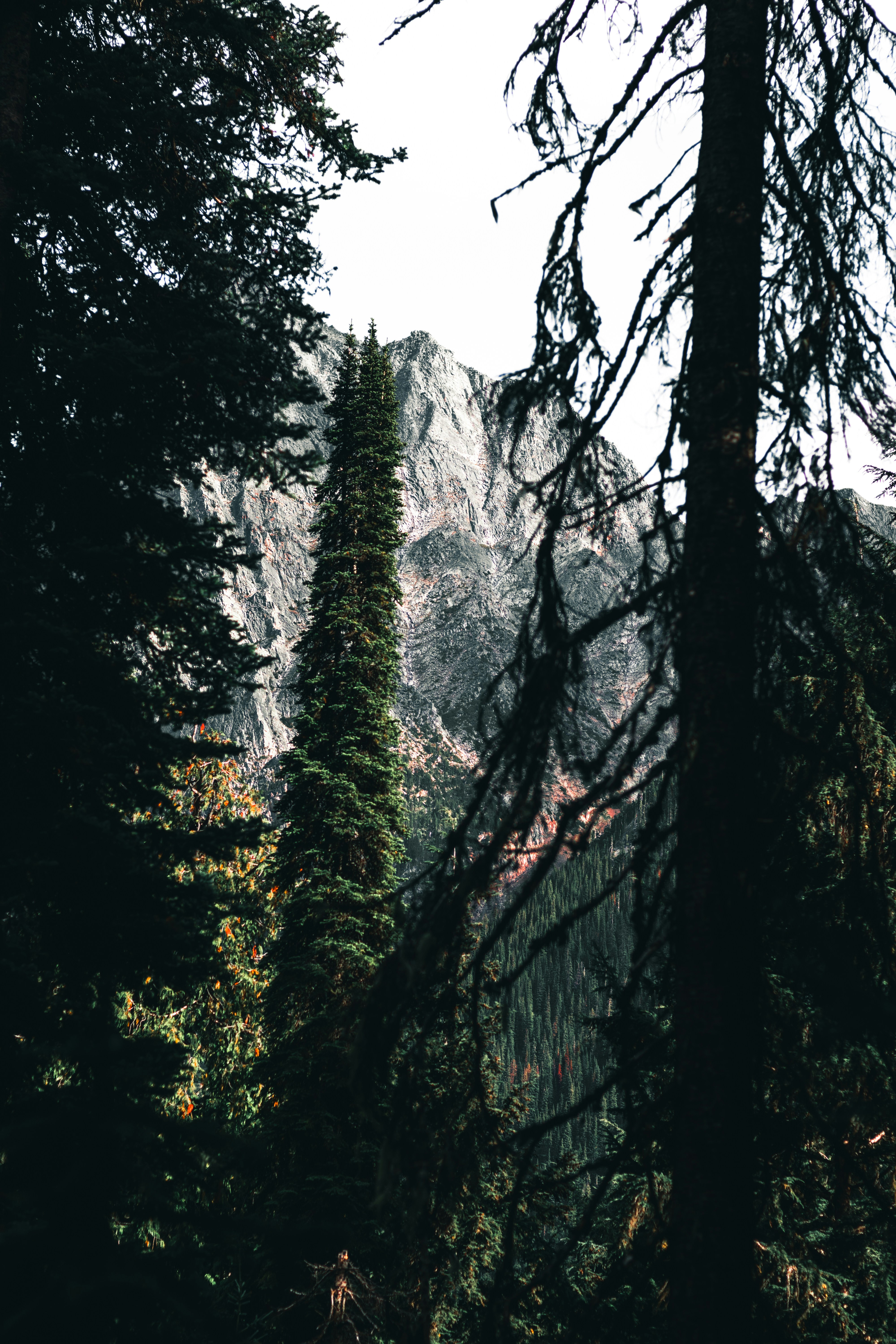 Photo by lureofadventure