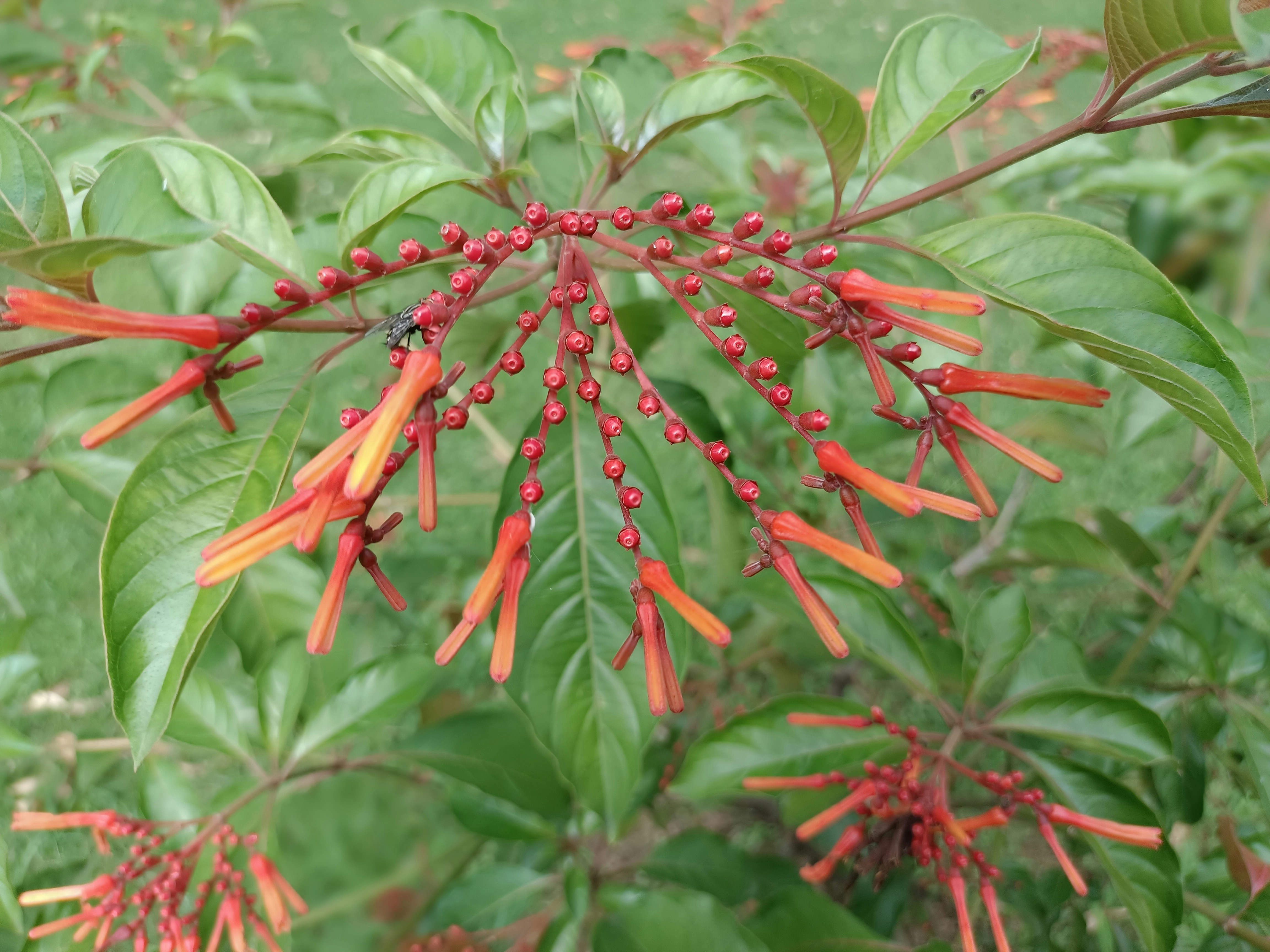 Photo by ihtishamahmed