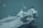 A large aircraft carrier is sailing on a calm sea with uniformed personnel lined up along the deck. Several smaller boats and sailboats are in the background.