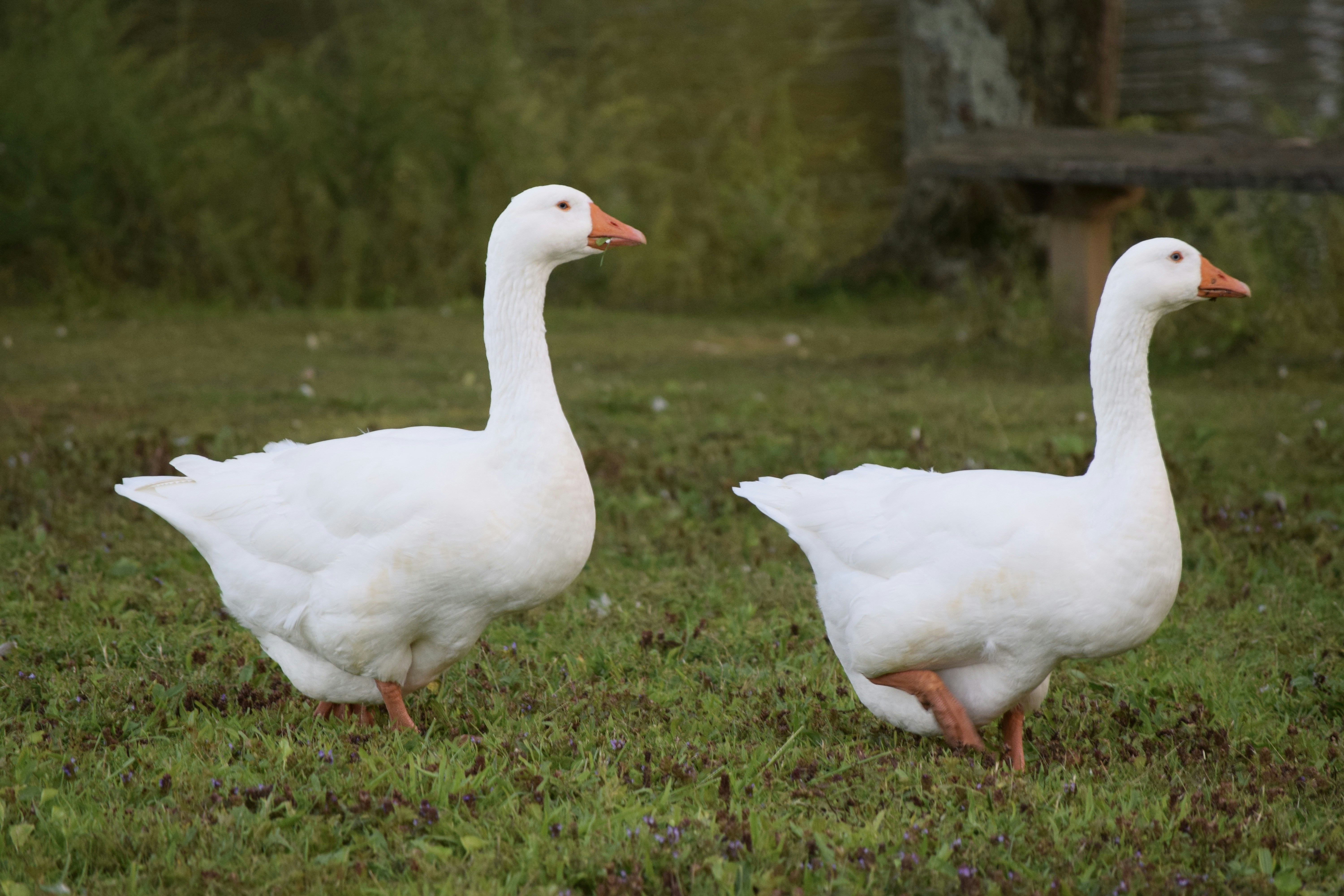 Photo by praswinprakashan