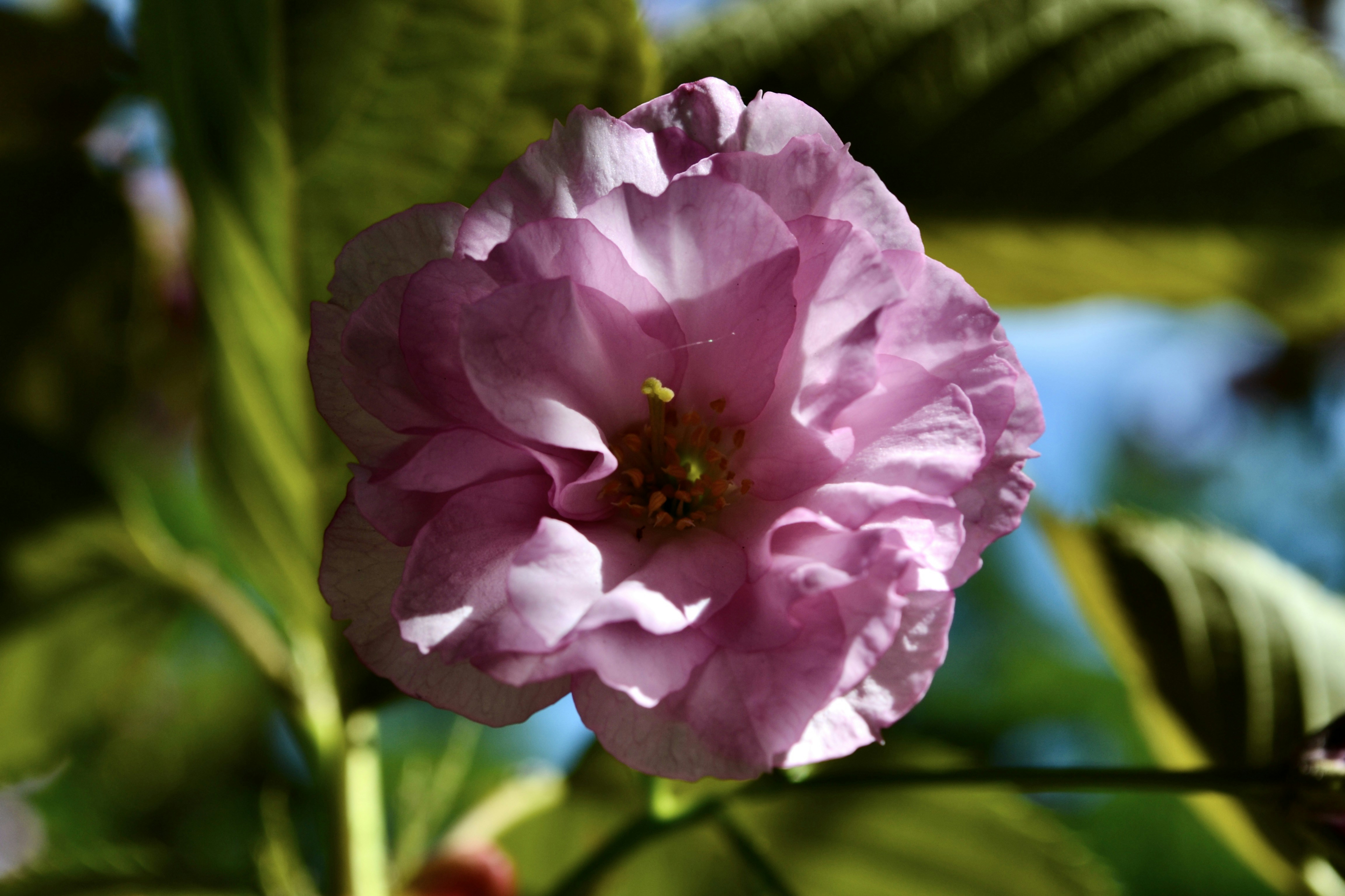 Photo by evgenslavin