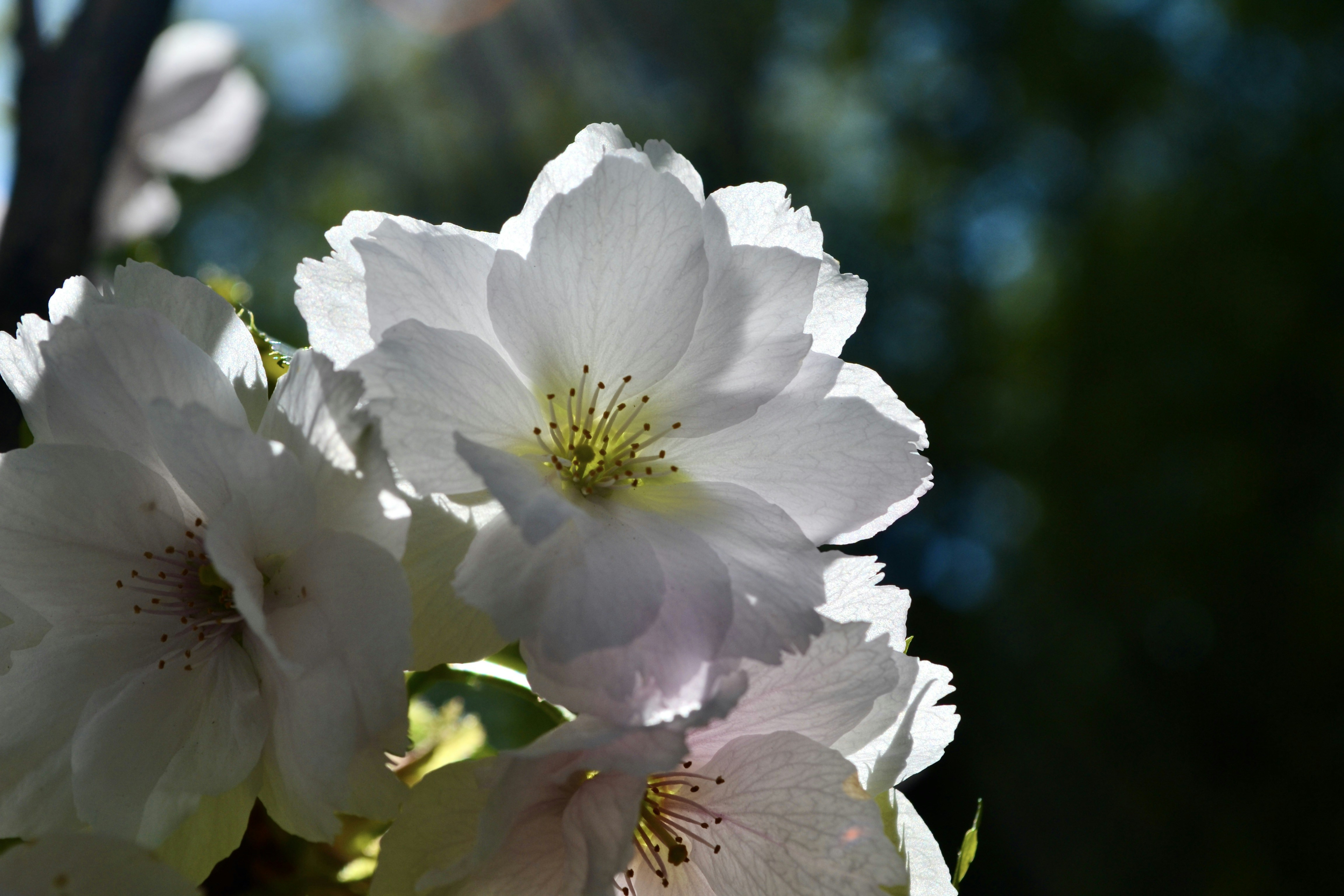 Photo by evgenslavin