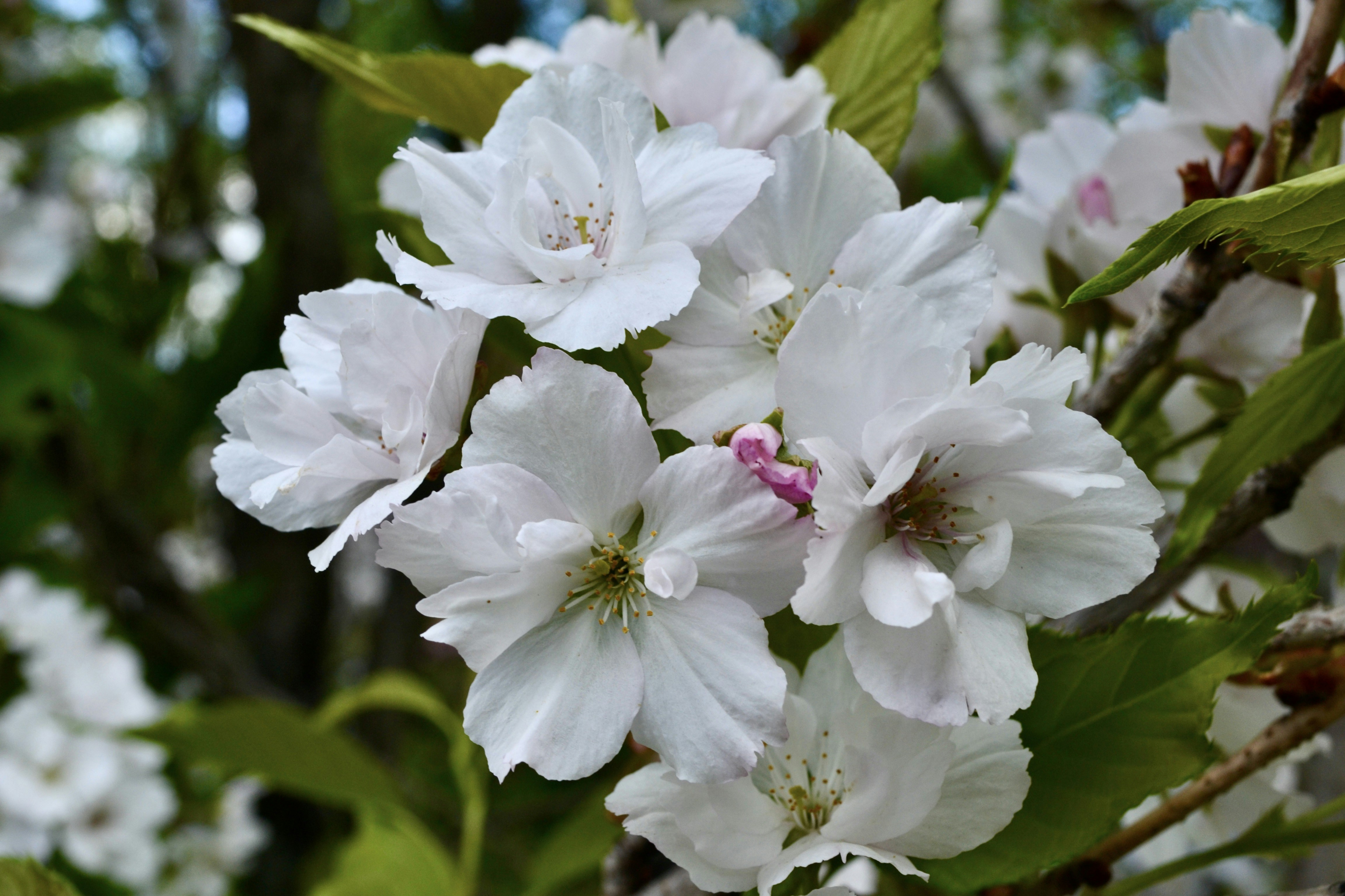 Photo by evgenslavin