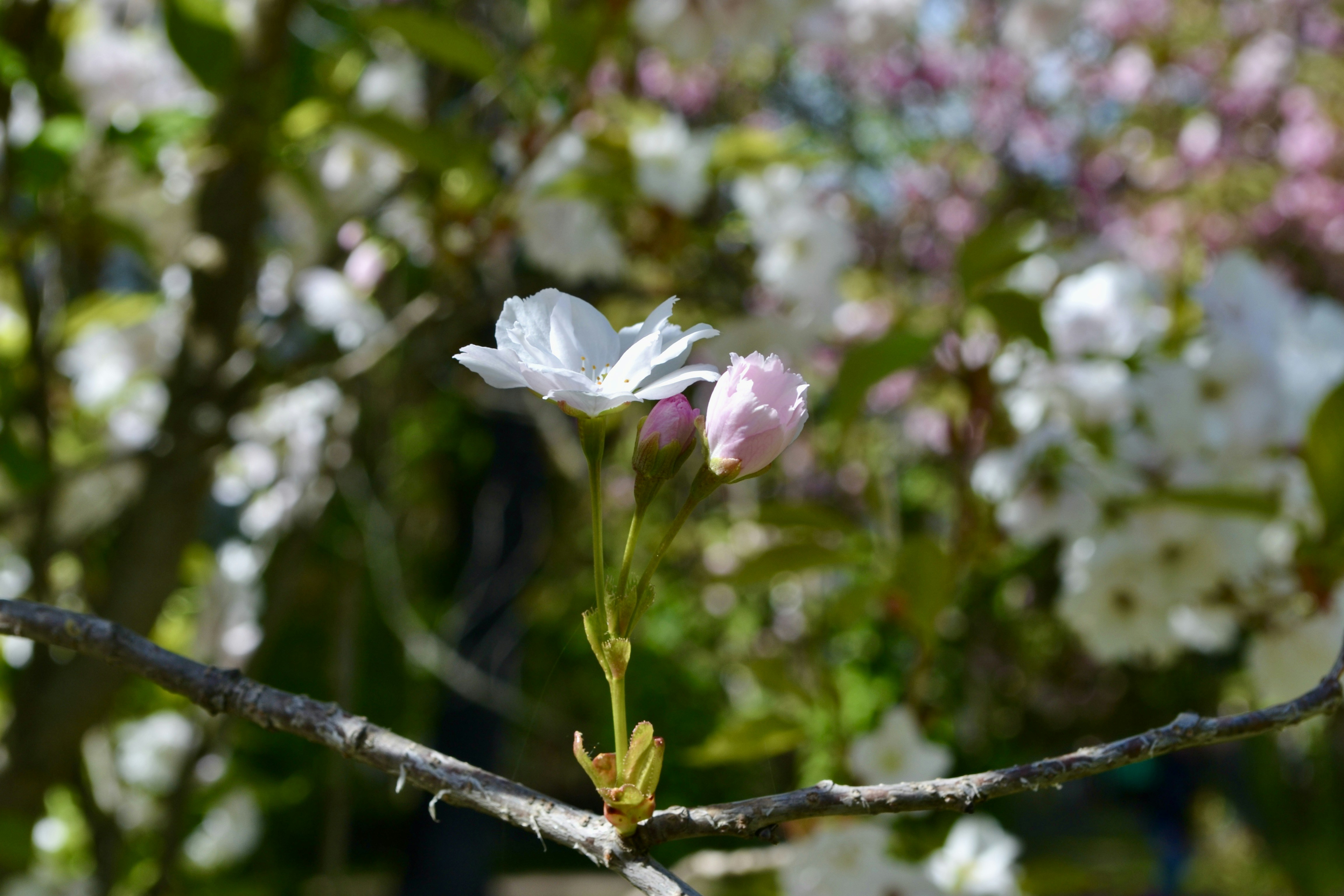 Photo by evgenslavin