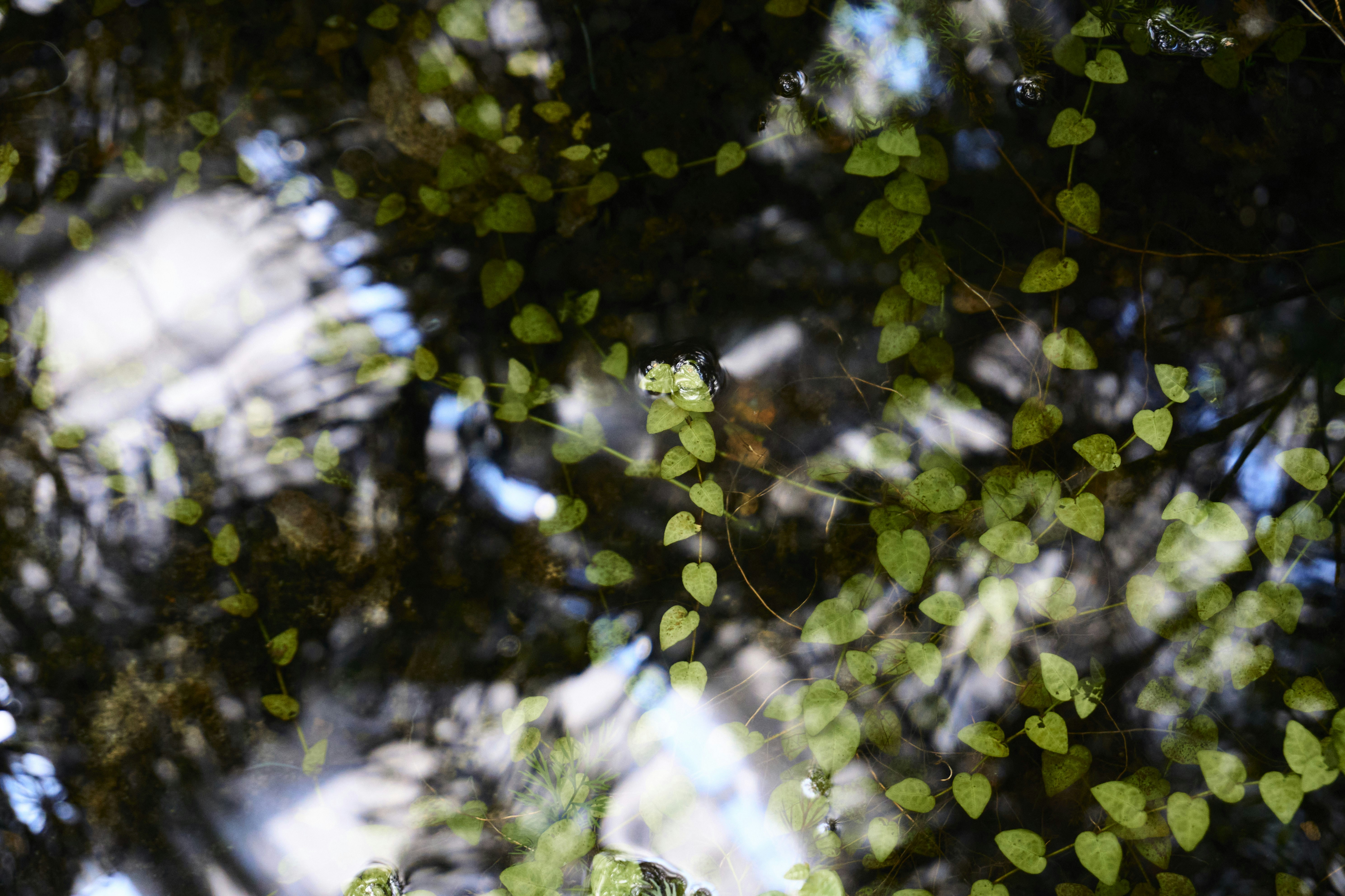 Photo by maria_fernau