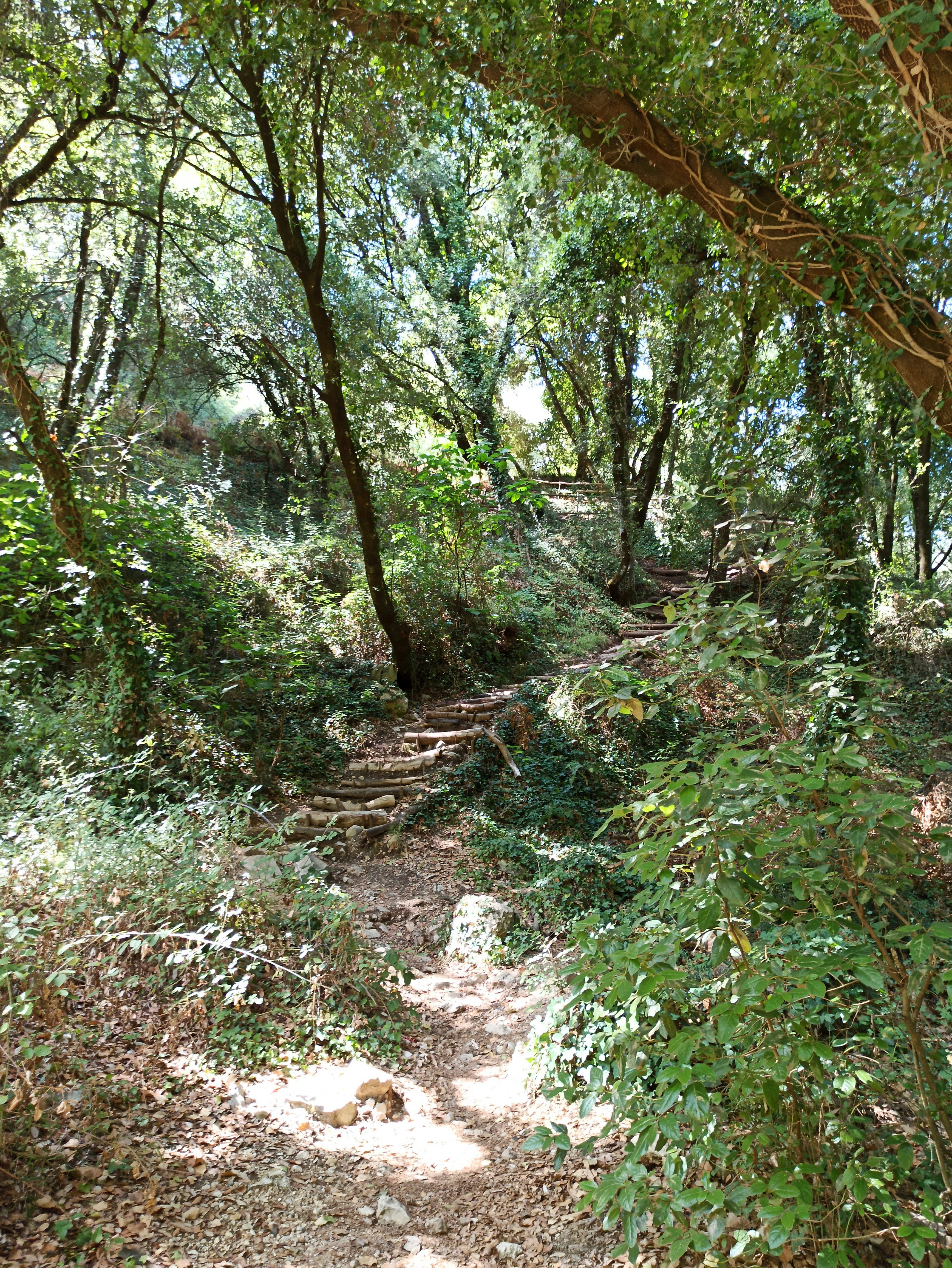 Photo by sina_van_overstraeten