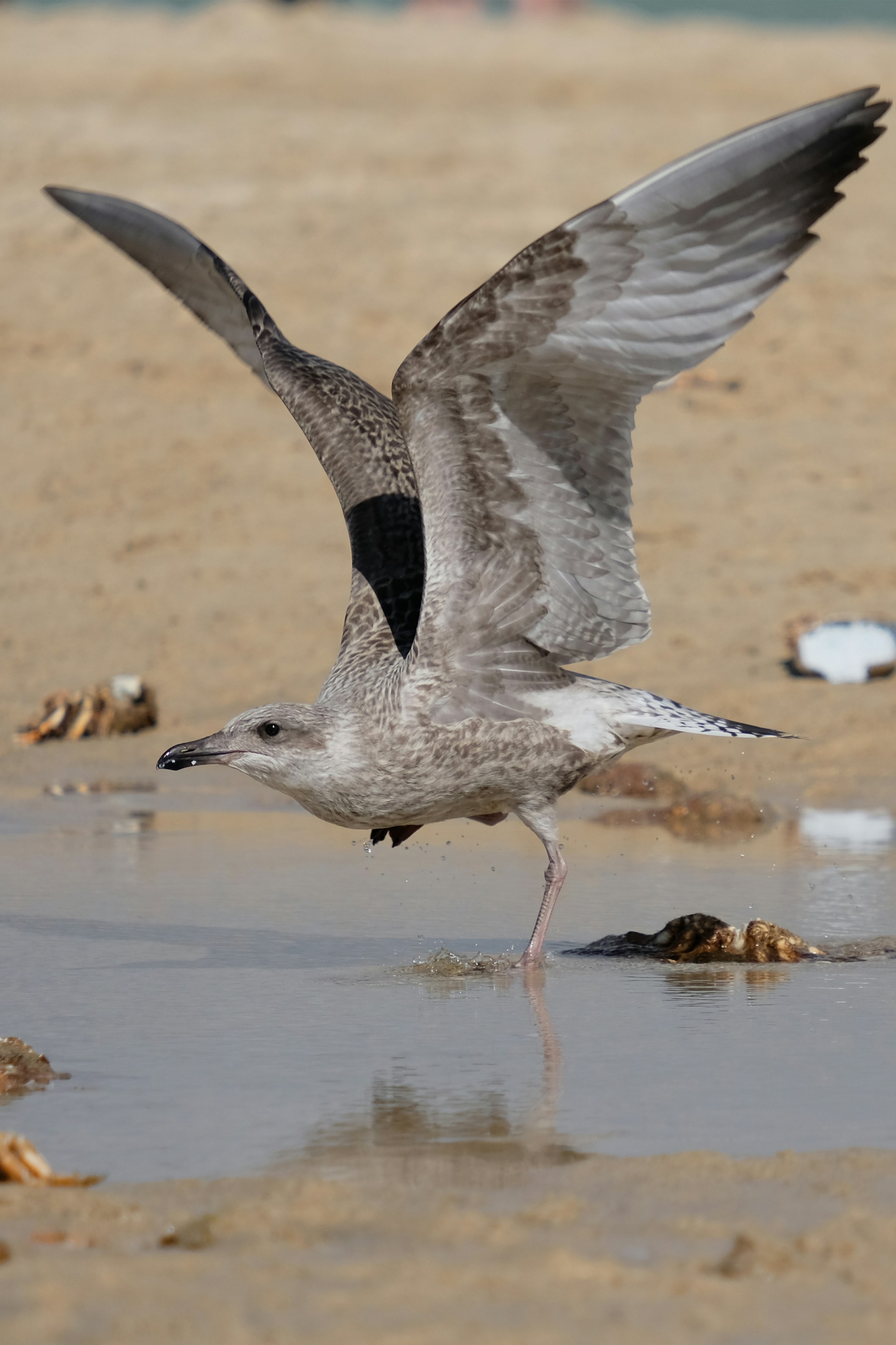 Photo by natchanphotos