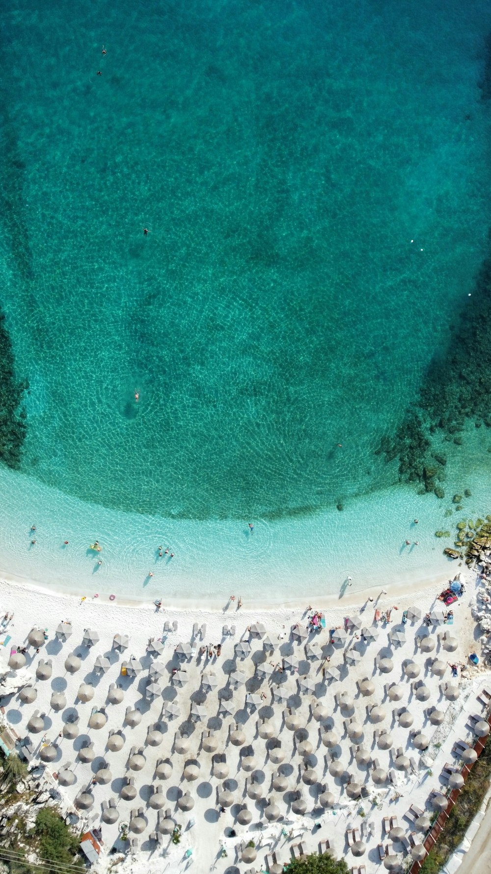 Un grupo de personas en una playa