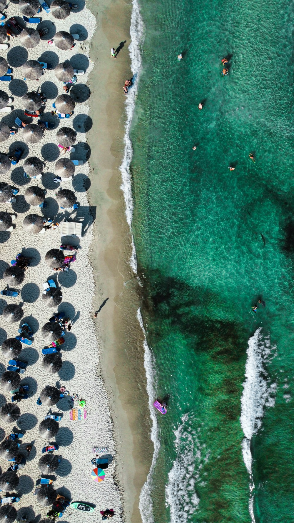 a group of people on a beach