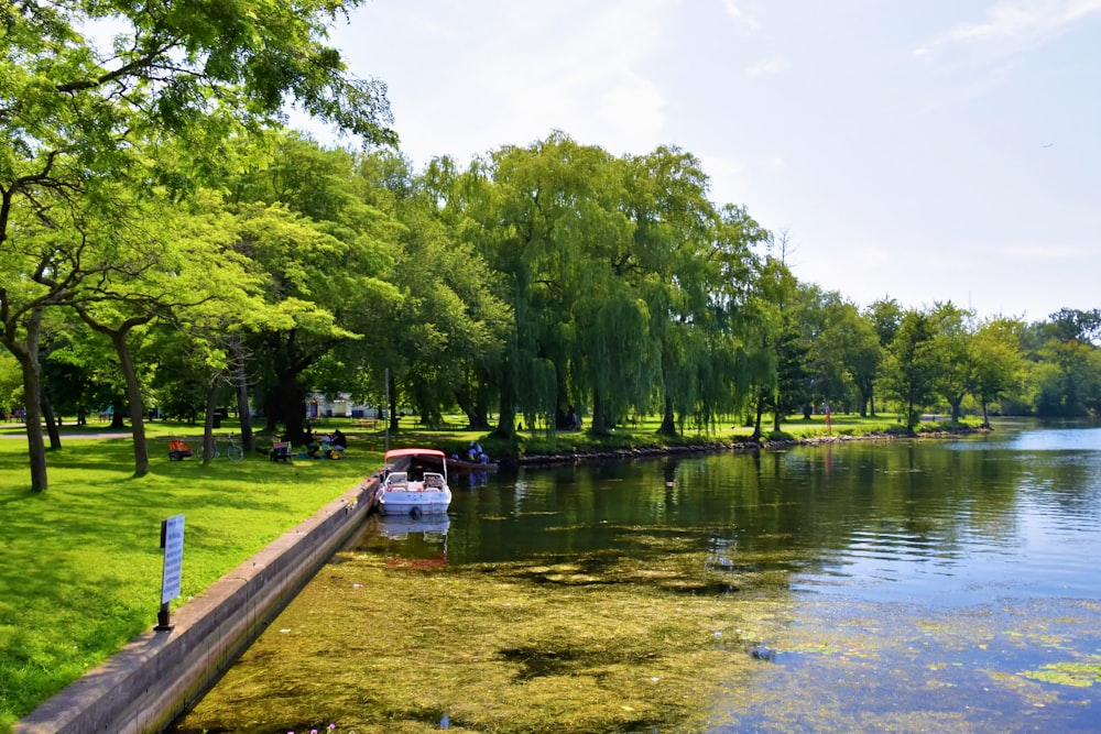 a body of water with boats and trees around it