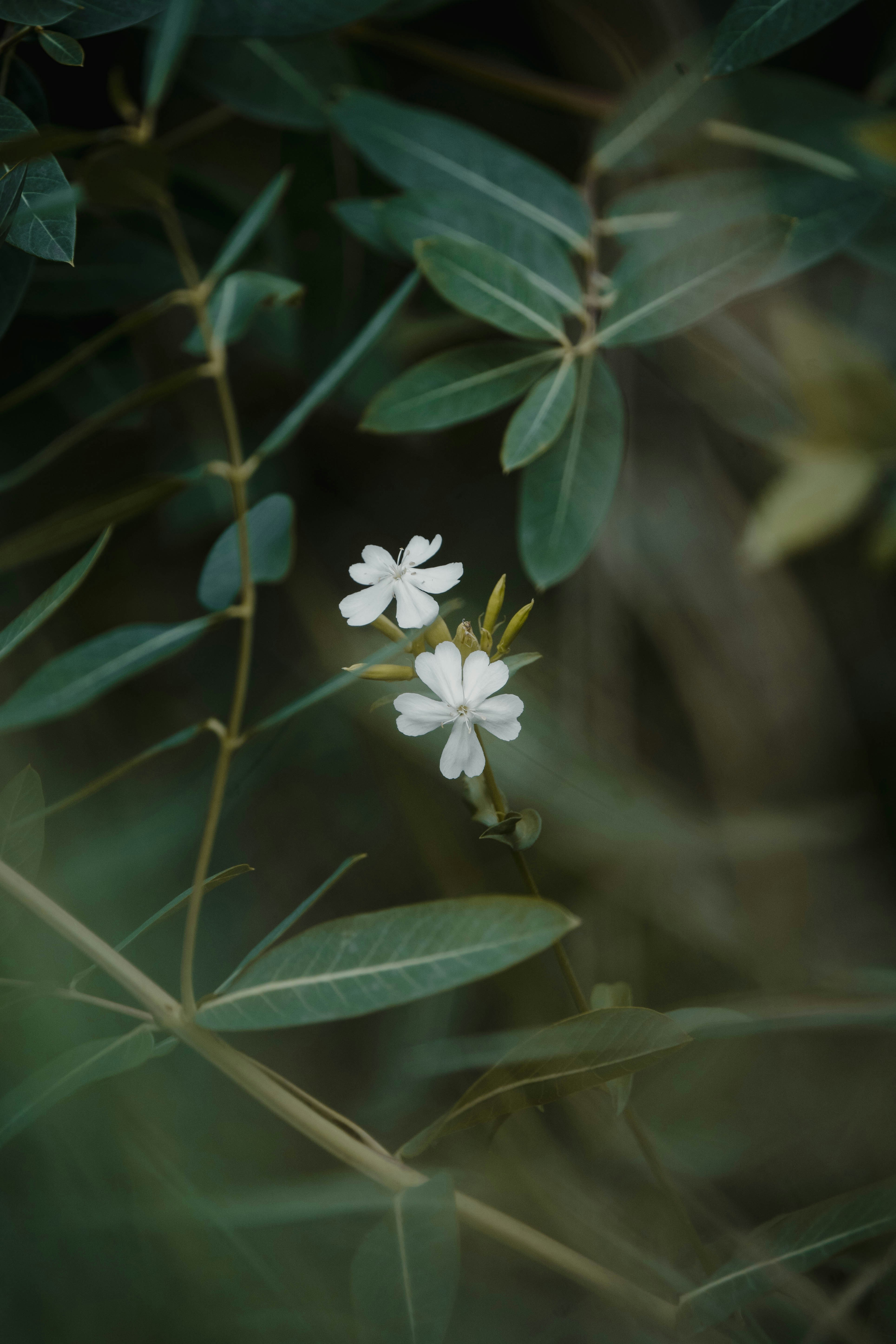 Photo by joncaliguire