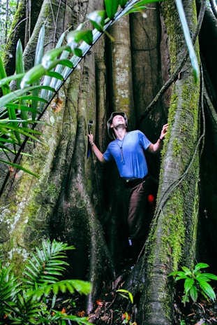 a person climbing a tree
