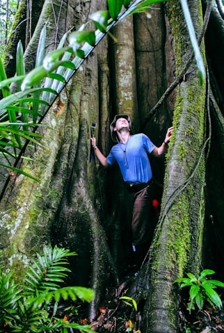 a person climbing a tree