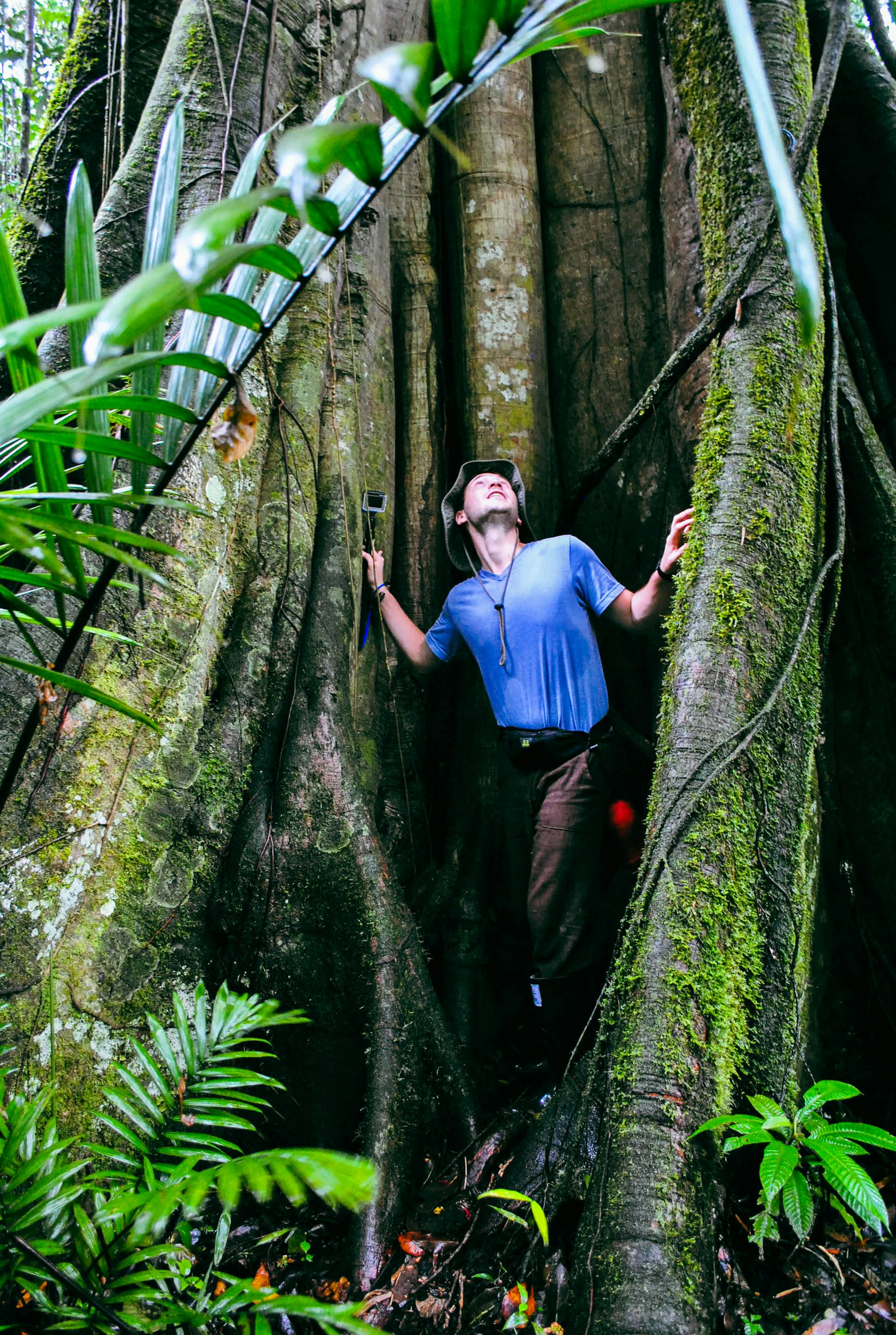 a person climbing a tree