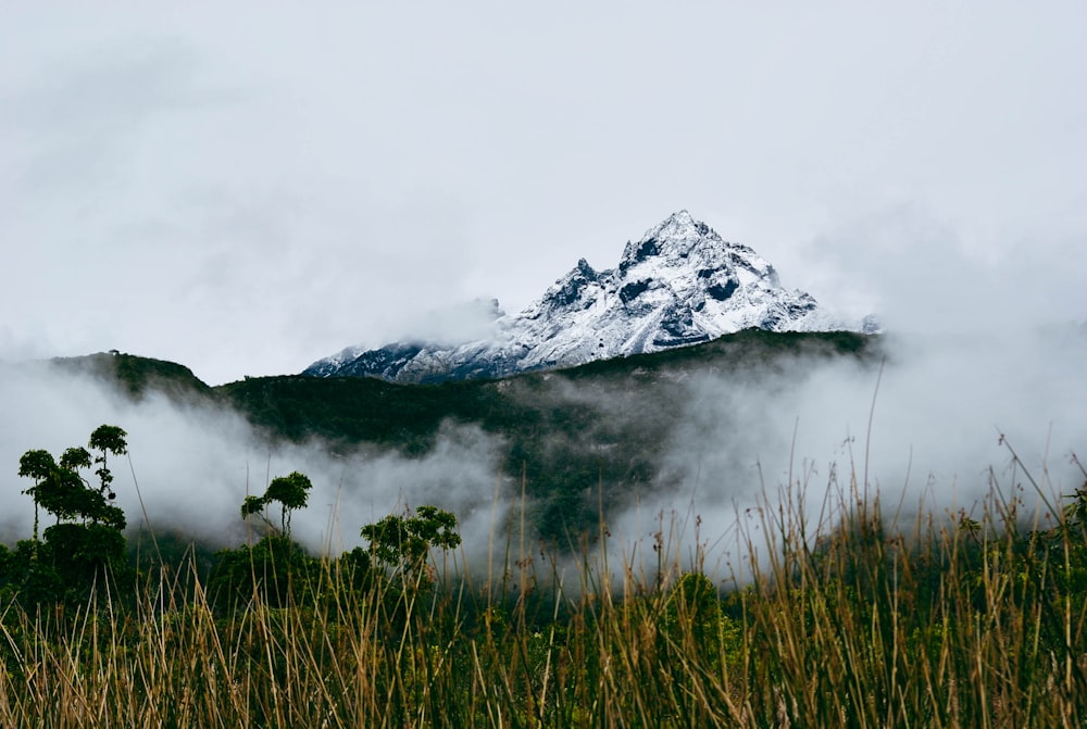 a mountain in the distance