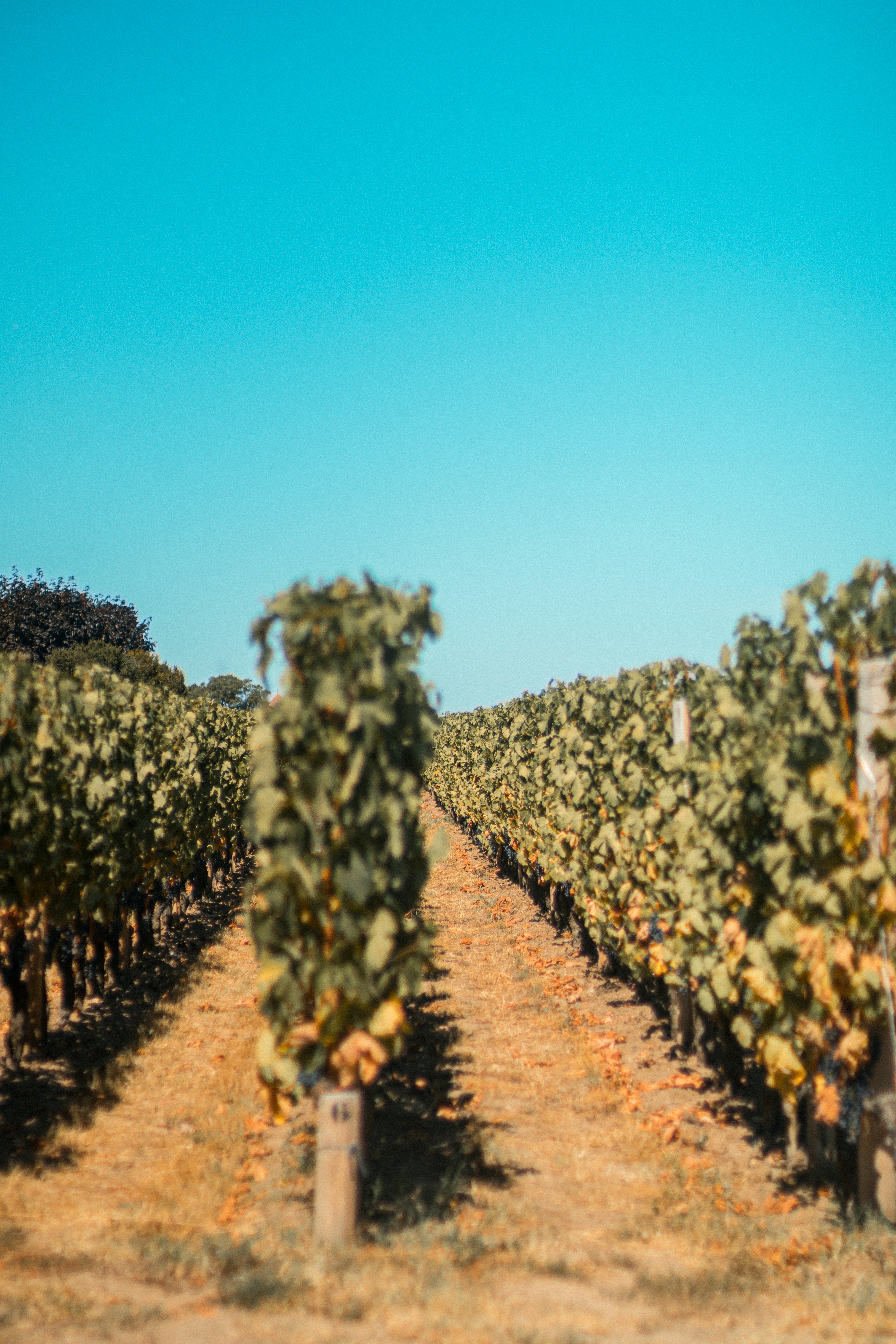 Photo by valentinlacoste