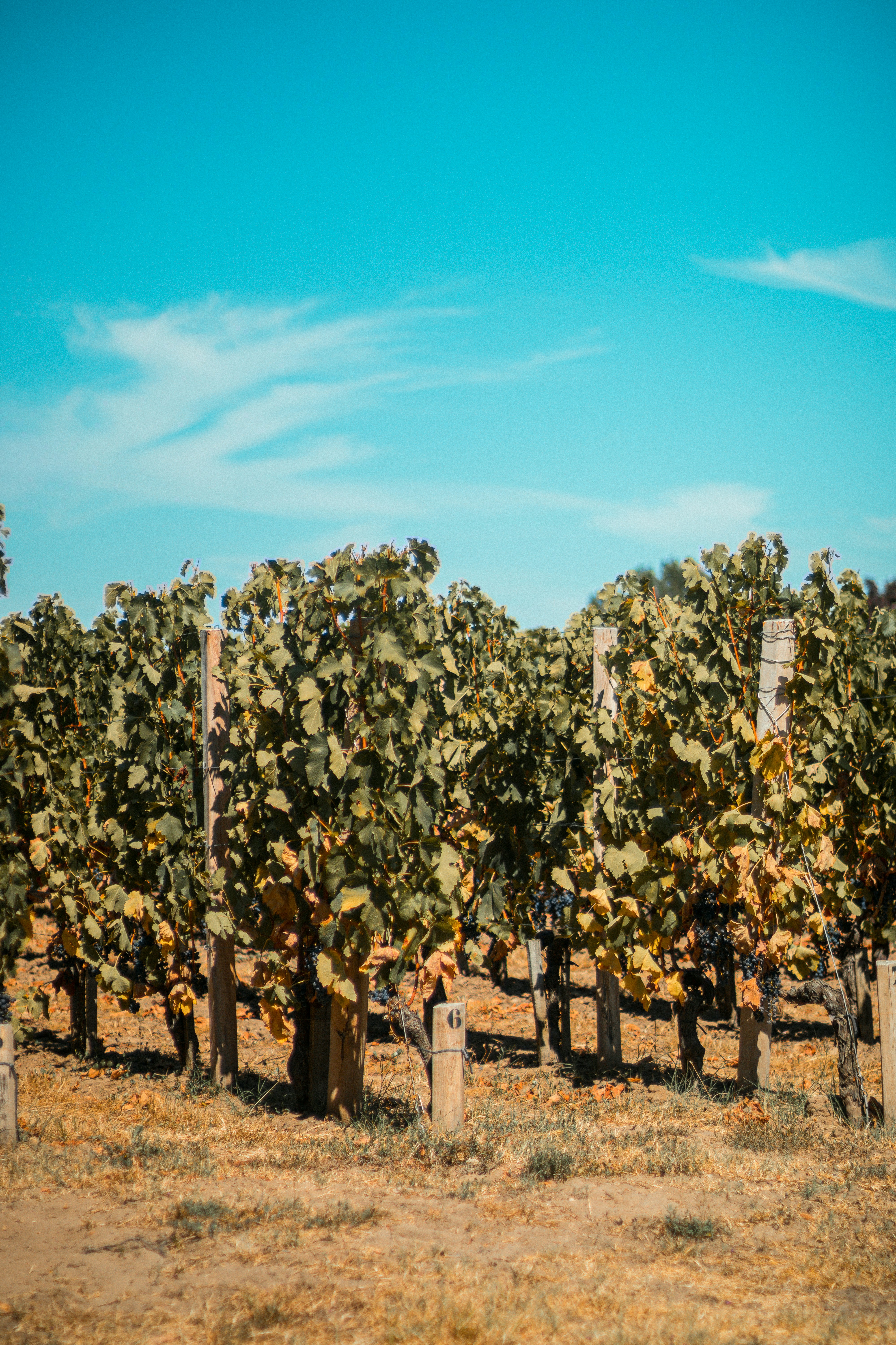 Photo by valentinlacoste