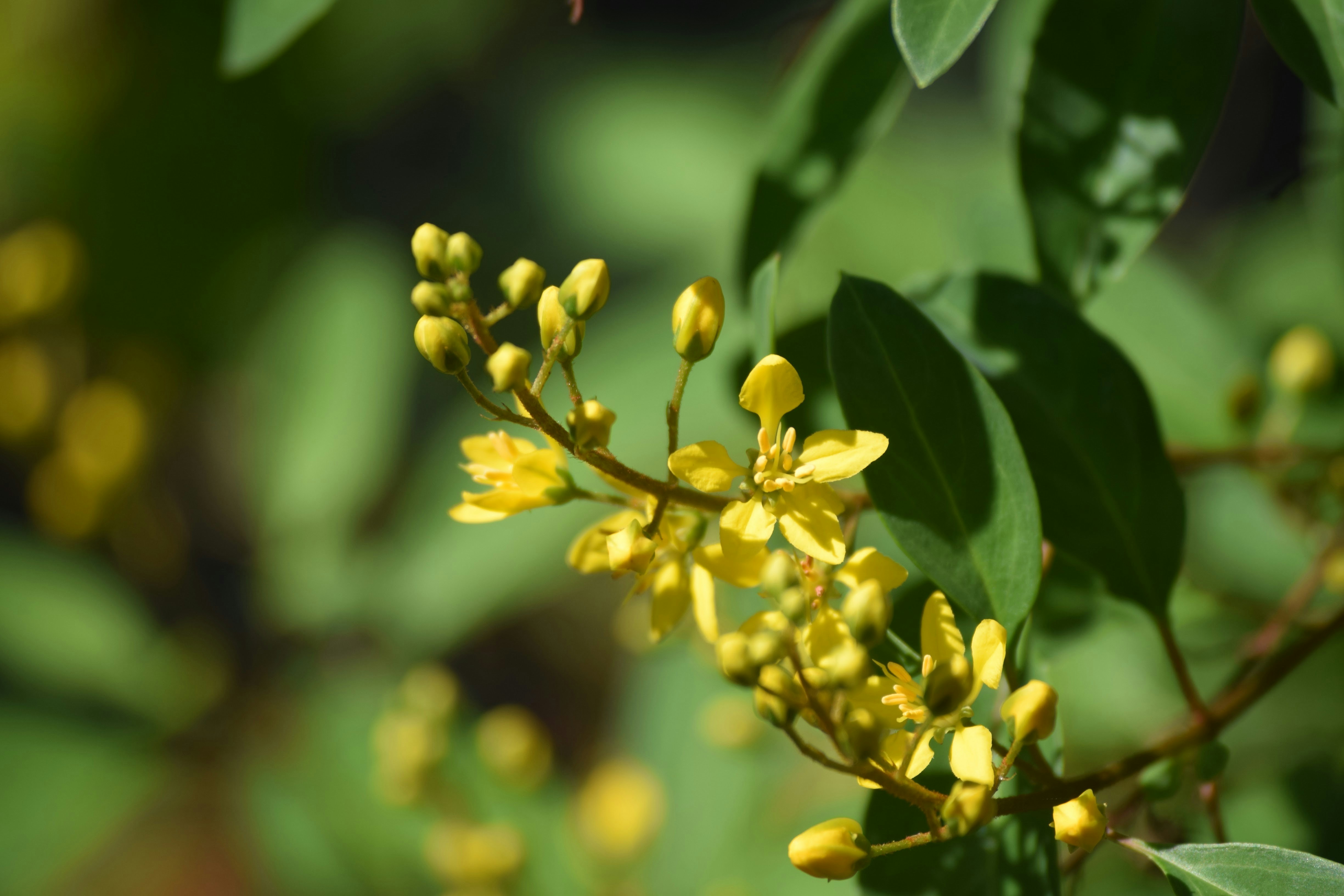 Photo by praswinprakashan