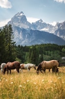 A stunning landscape featuring horses running freely in a green field.