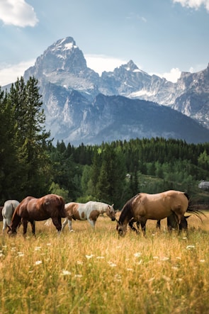A stunning landscape featuring horses running freely in a green field.