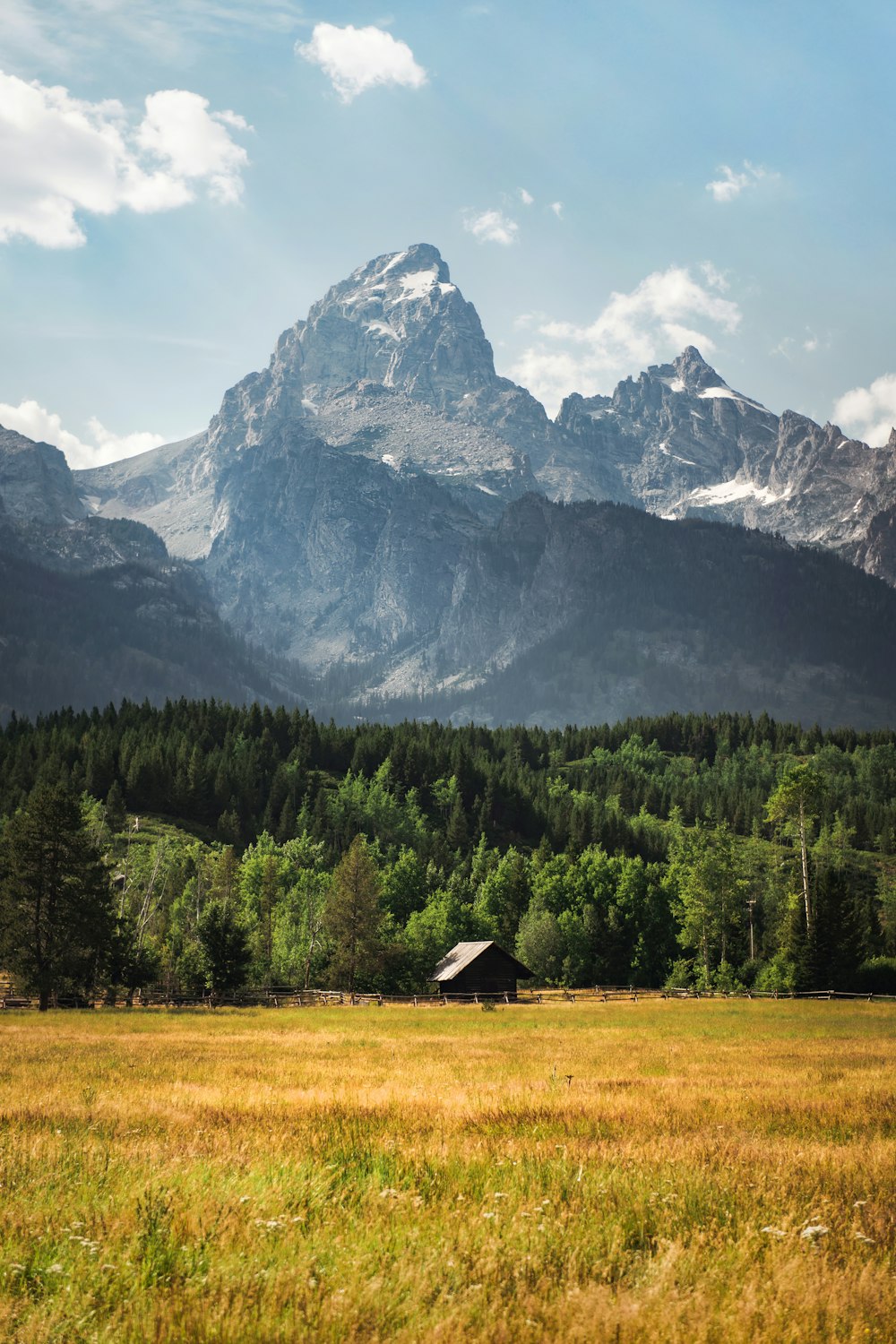 a small house in a field with trees and mountains in the background