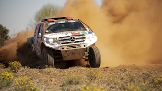 A rally car speeds across a dusty off-road track, kicking up a large cloud of dirt and dust behind it. Wildflowers and sparse grass are visible in the foreground, adding lively color to the otherwise dry landscape. The car is aggressively styled with decals, emphasizing its competitive nature.