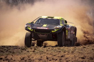 A high-performance off-road race car speeds over a dusty terrain, kicking up clouds of dirt. The car is covered in various sponsor logos, has a sleek design with distinctive green and black coloring, and large rugged tires suitable for rough surfaces.