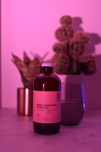 A bottle of Magic Mushroom Kombucha is centered on a surface, illuminated by pink and purple lighting. In the background, there is a glass partially filled with a beverage and two plants, including a cactus, creating a relaxed and modern ambiance.