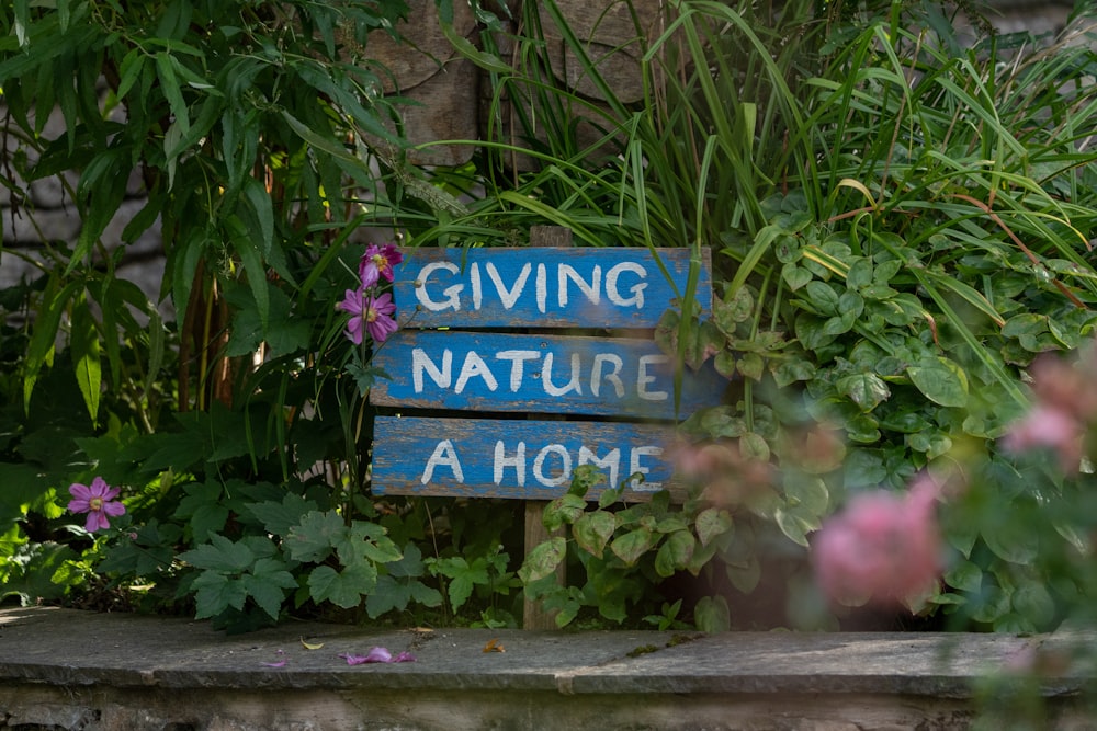 a sign in the middle of a garden